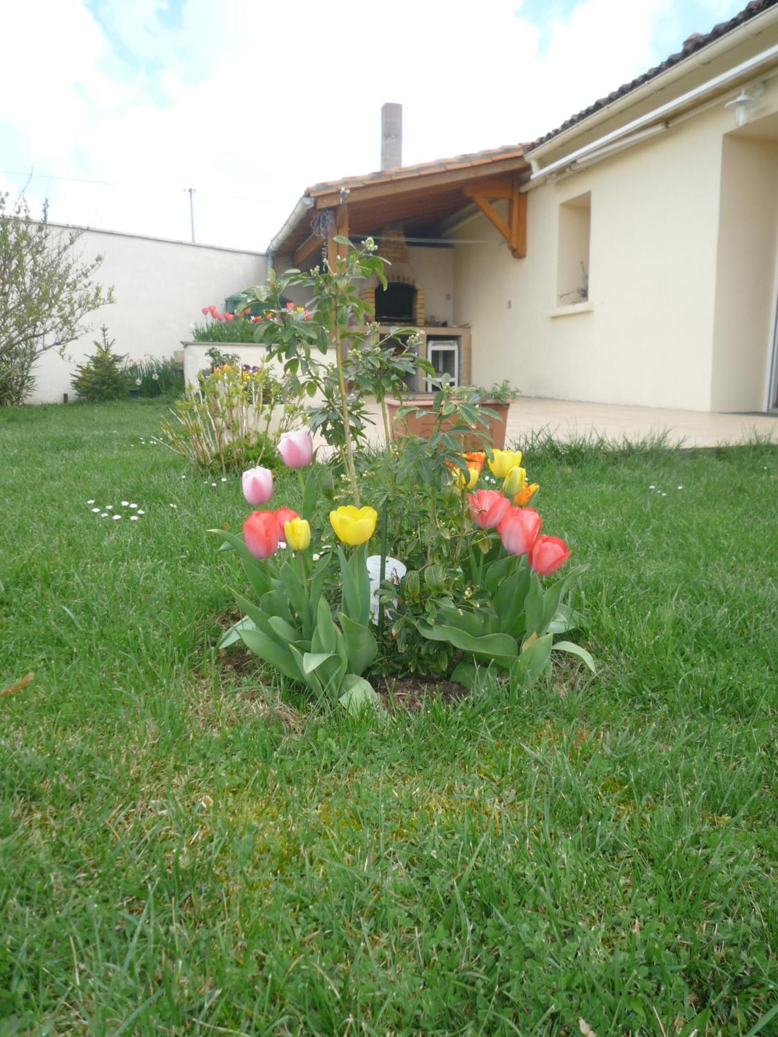 Photo 13
