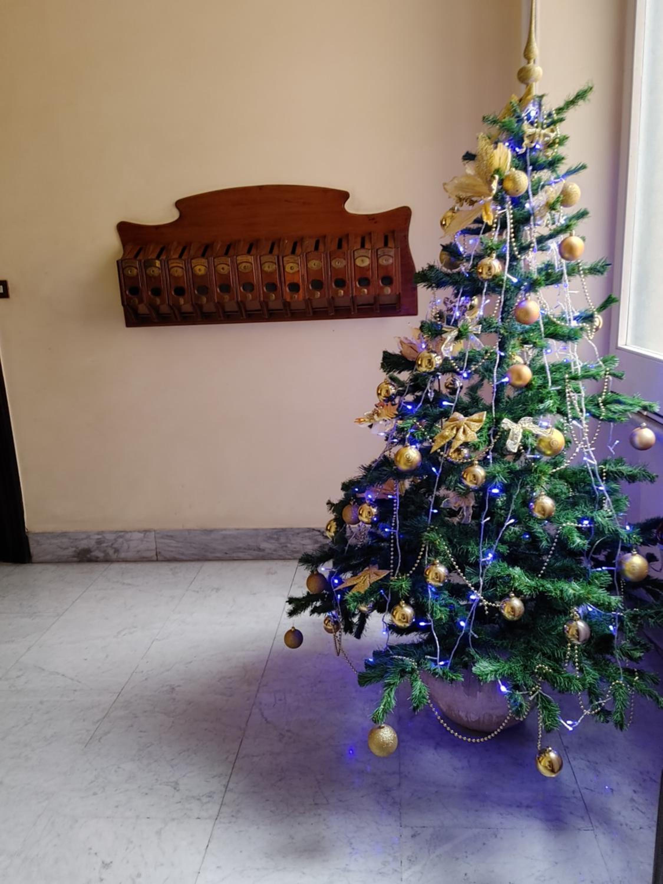 Studio Flat Trastevere