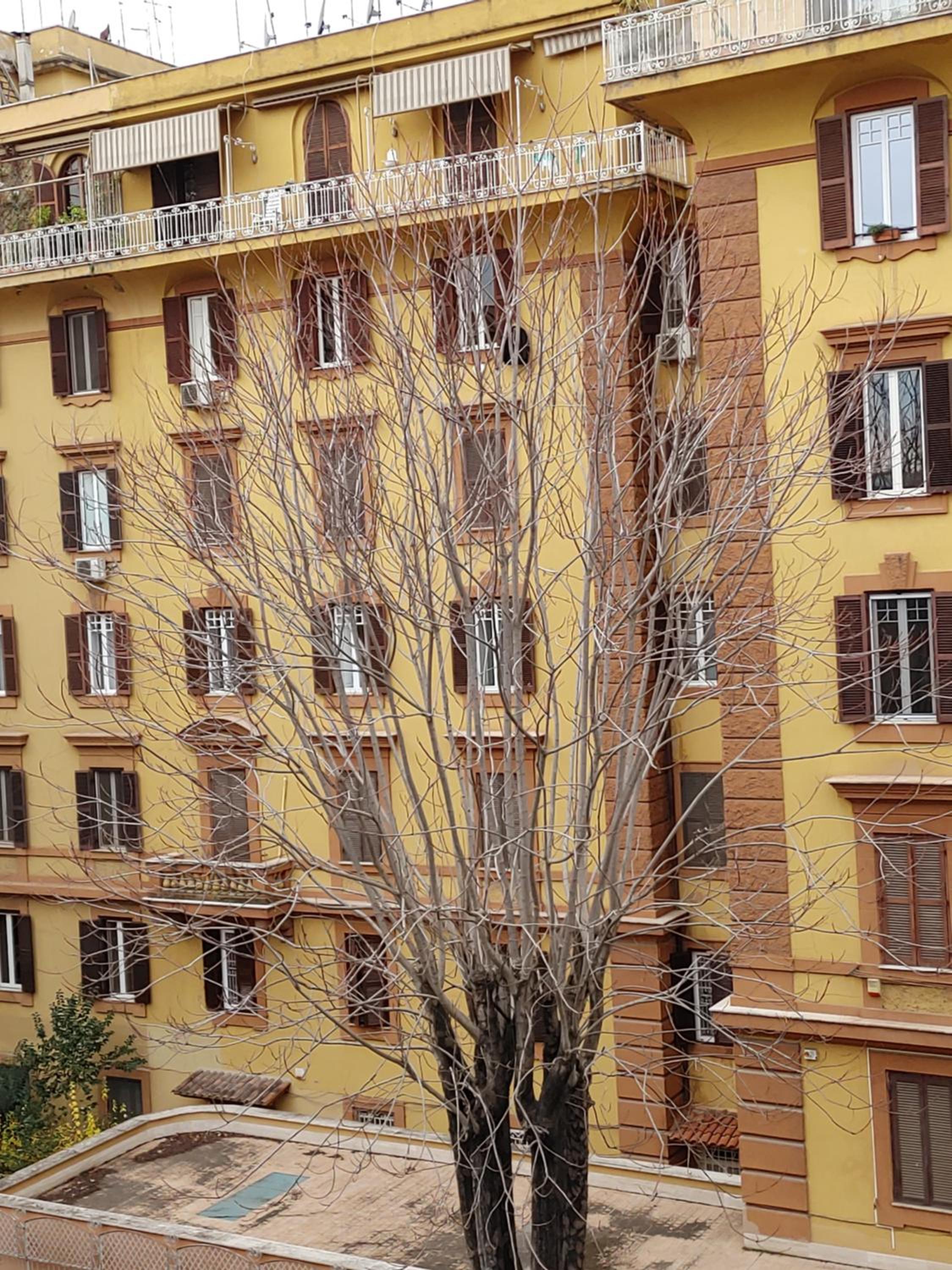 Studio Flat Trastevere