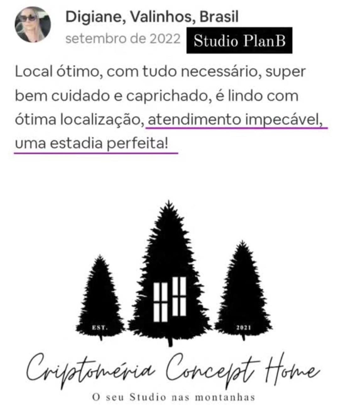 Criptoméria Concept Home - O seu Studio nas Montanhas.