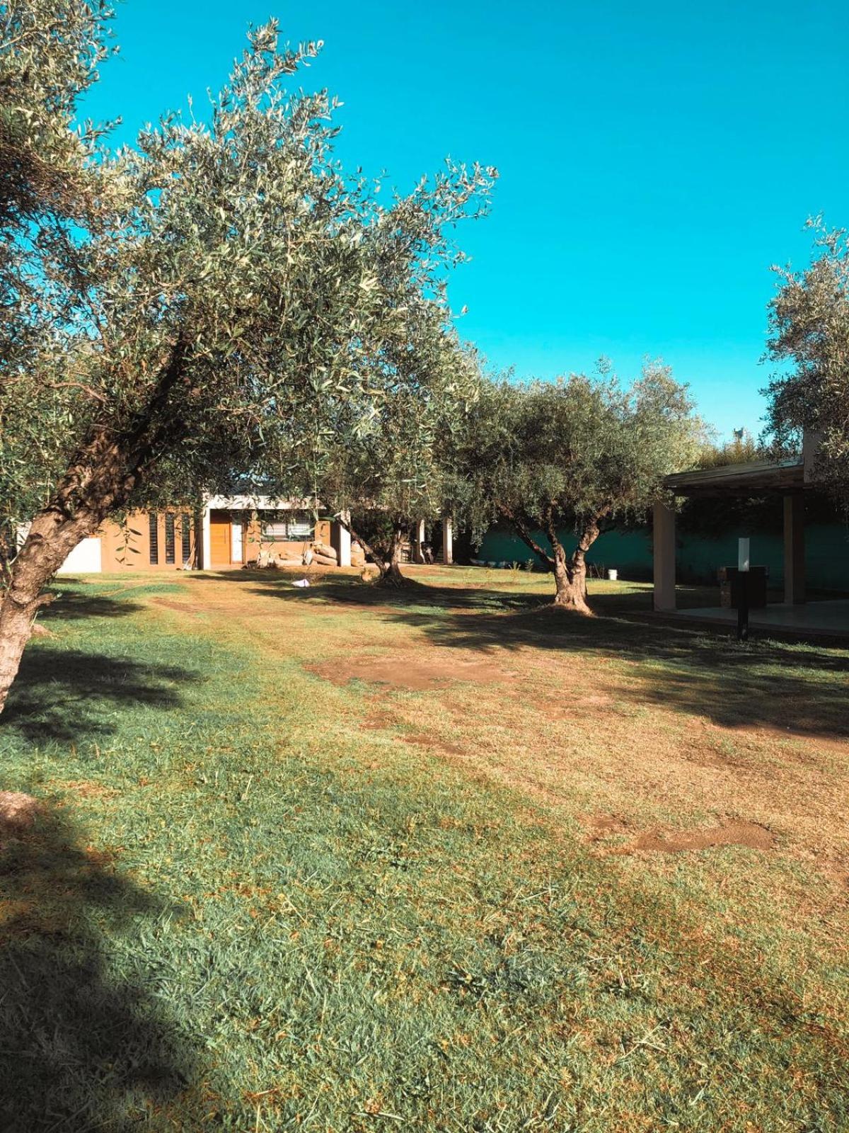 12 Olivos Cabañas