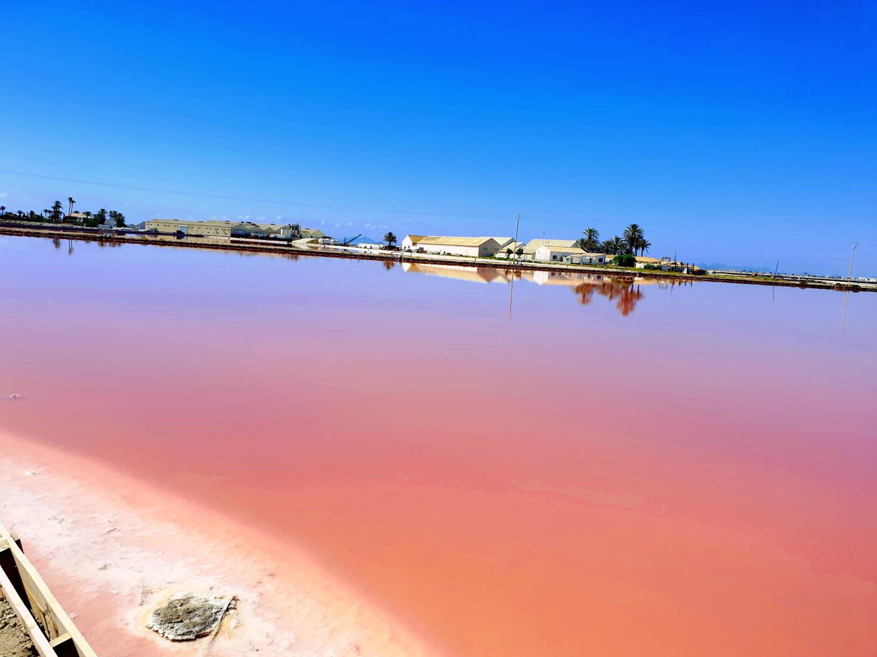 Paraiso Del Sol