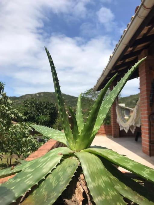 Surf'n Yôga Inn, Floripa
