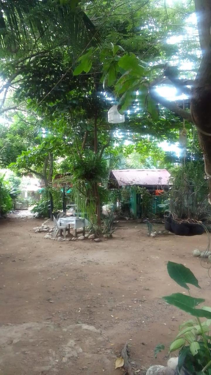 Casa Rancho Palomino