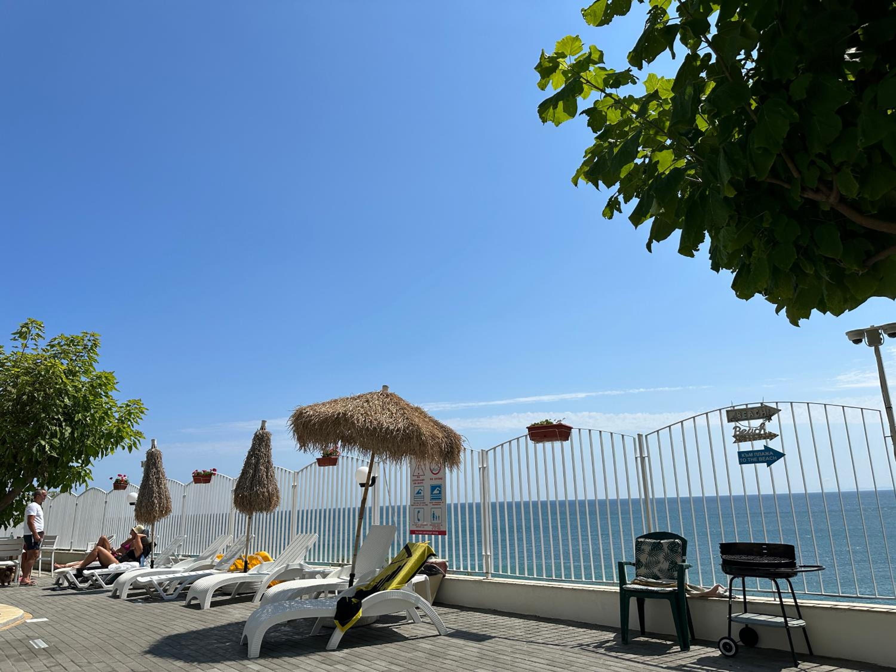 Alex Beach
