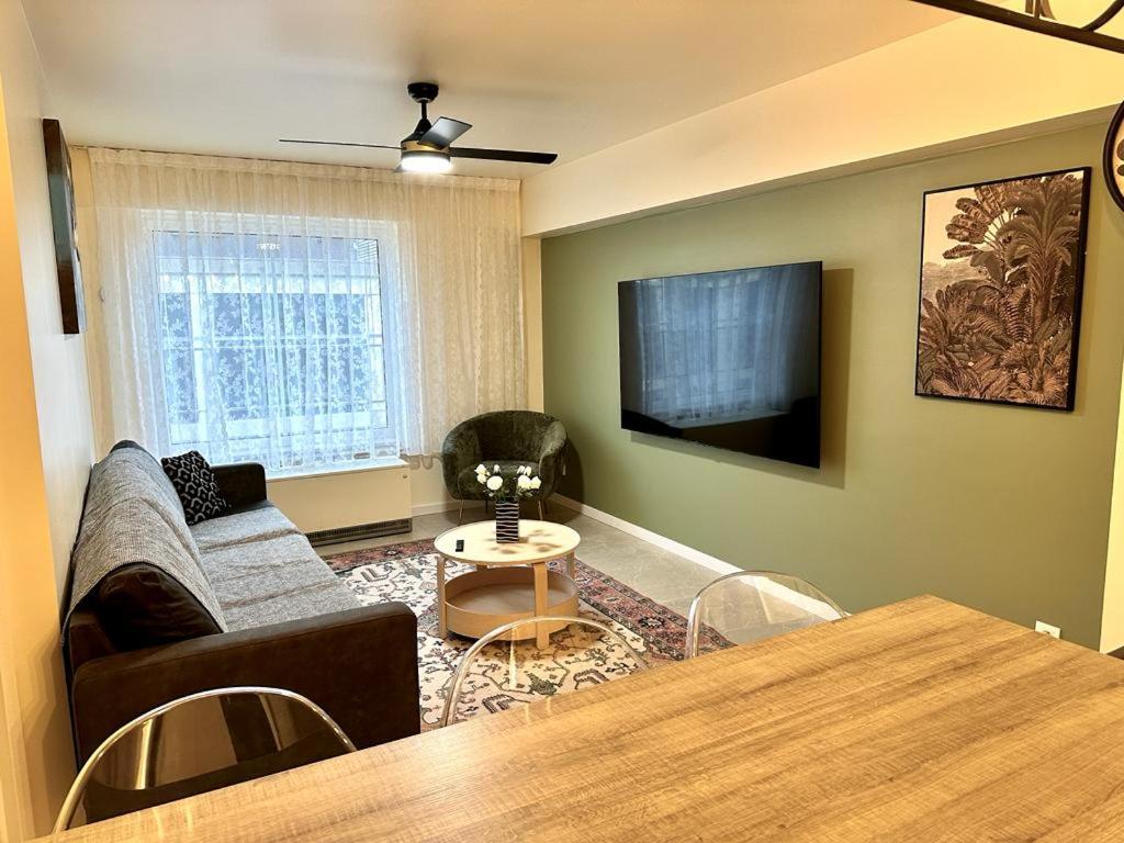 Renovated Apartment in Antwerp city center