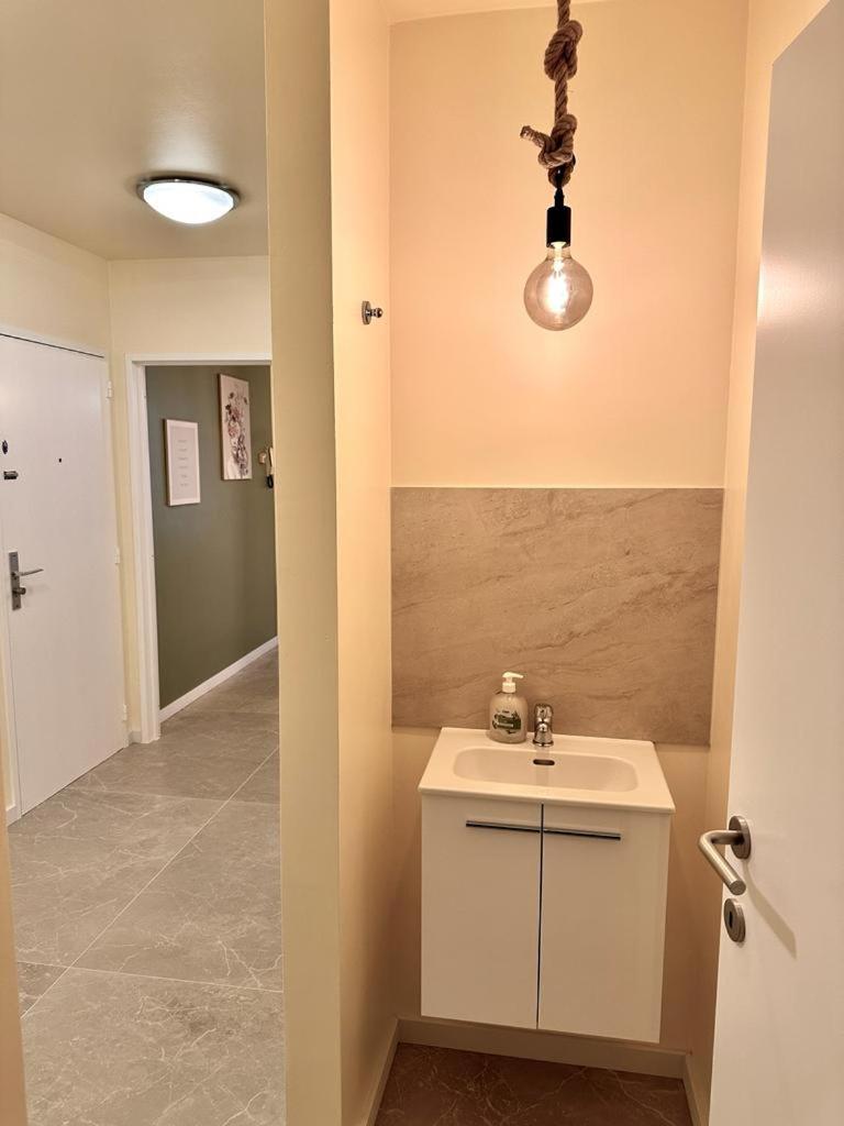 Renovated Apartment in Antwerp city center