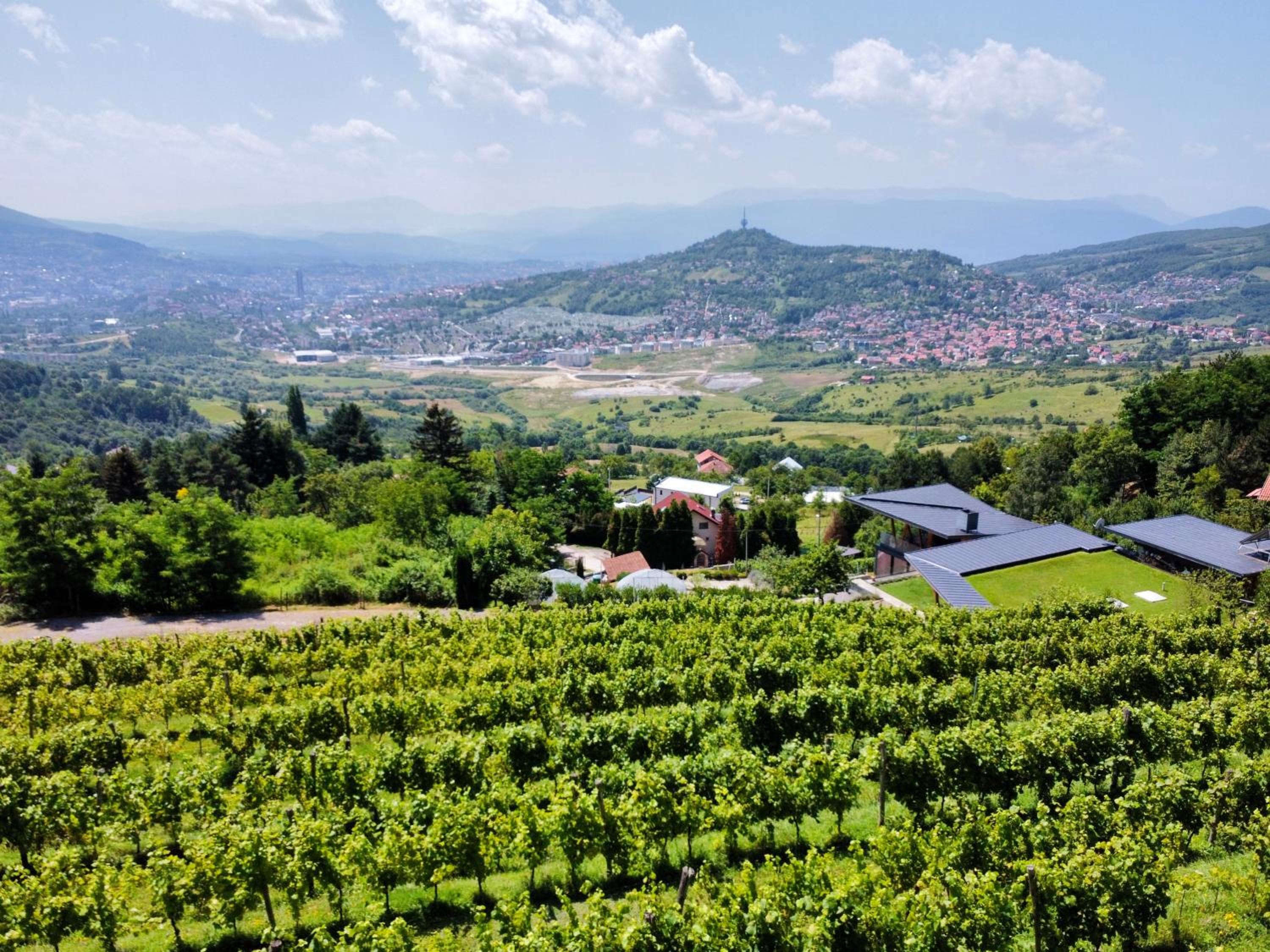 Hedona Vineyard Apartments