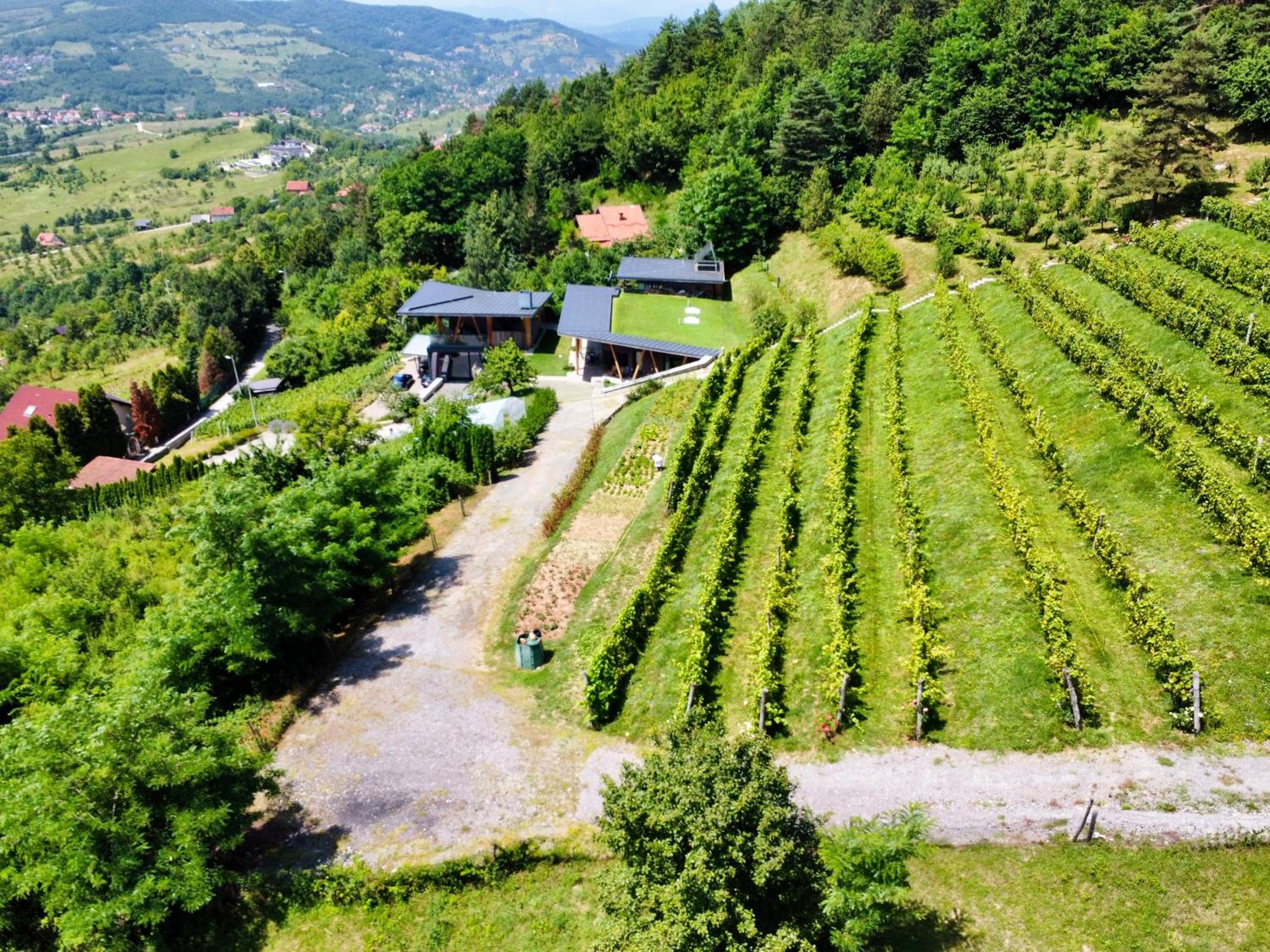 Hedona Vineyard Apartments