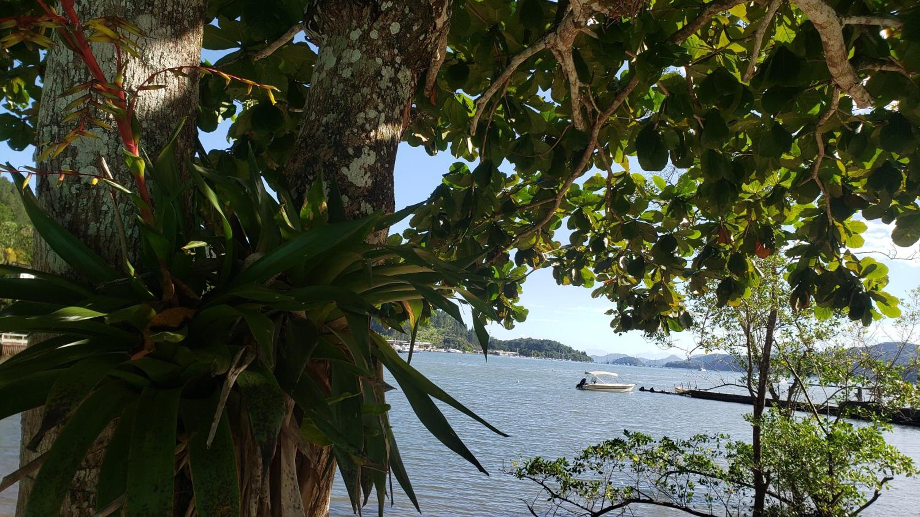 Suítes Ibiza vista Mata