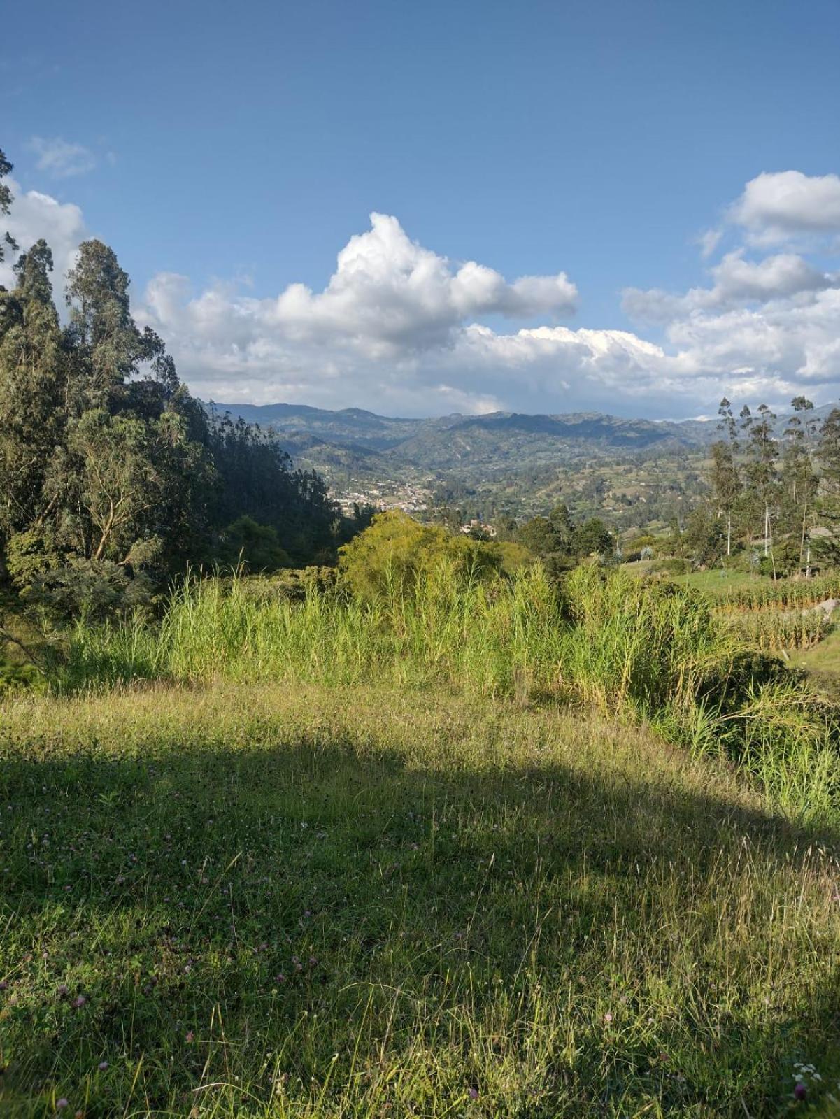casa de campo la fresita