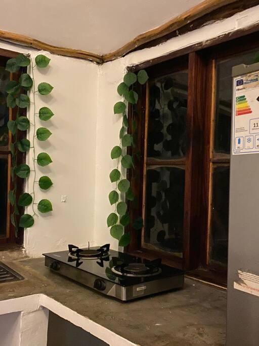 Cottage in Arusha-Wanderful Escape view 2