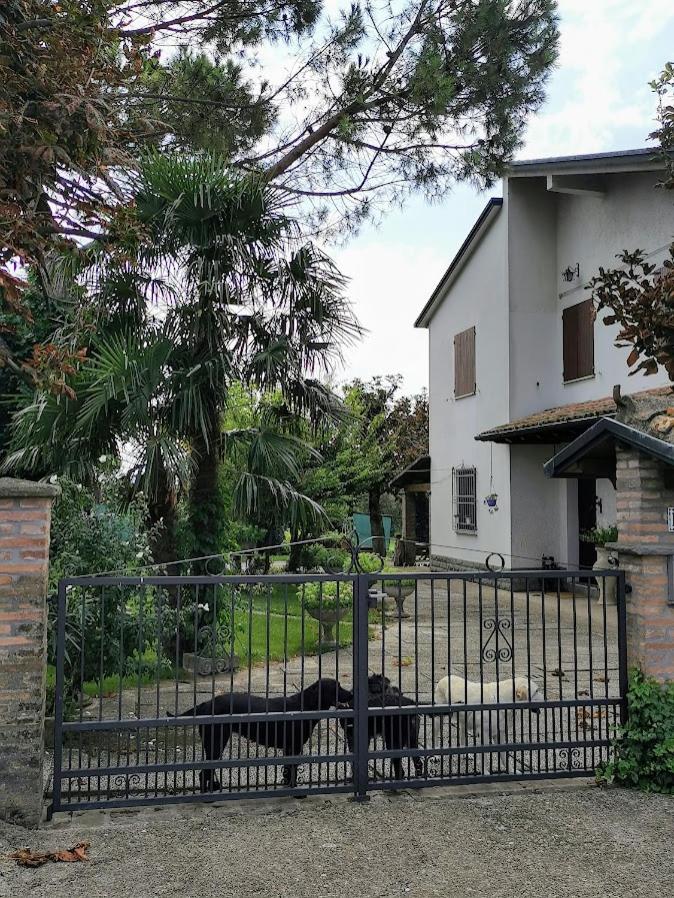 LA CASA DI GIM view 2