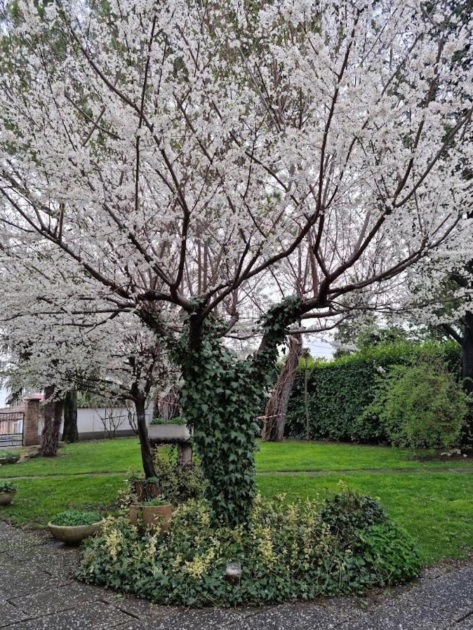 LA CASA DI GIM view 3