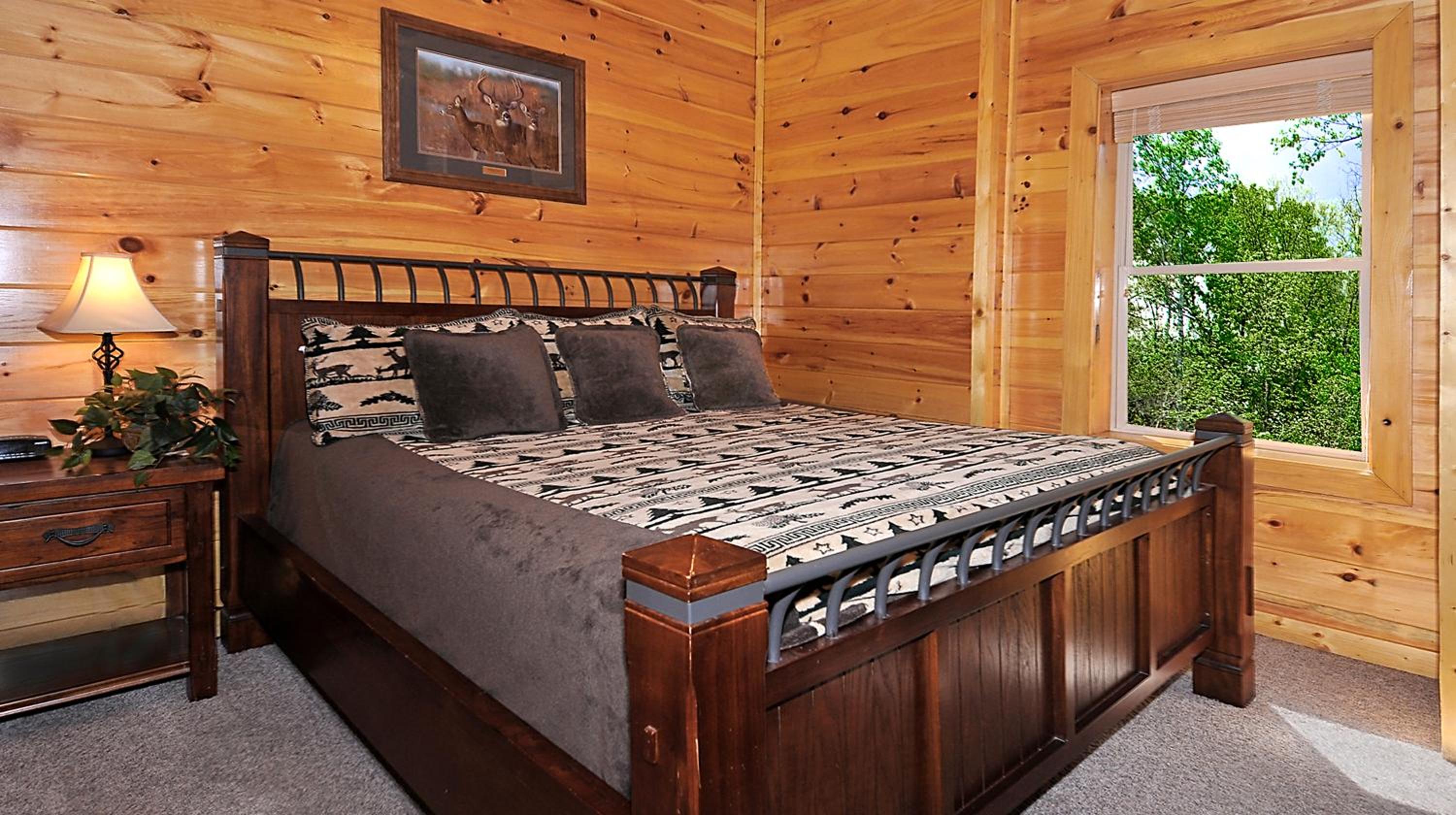 Deer ViewLodge 6Bdrm, 6Bath, Specials, Free Tickets, Views, Gameroom, Hot Tub view 5