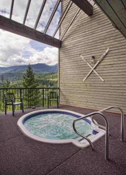 Amazing Views 2 BR/2 BA Ski In Ski Out Condo