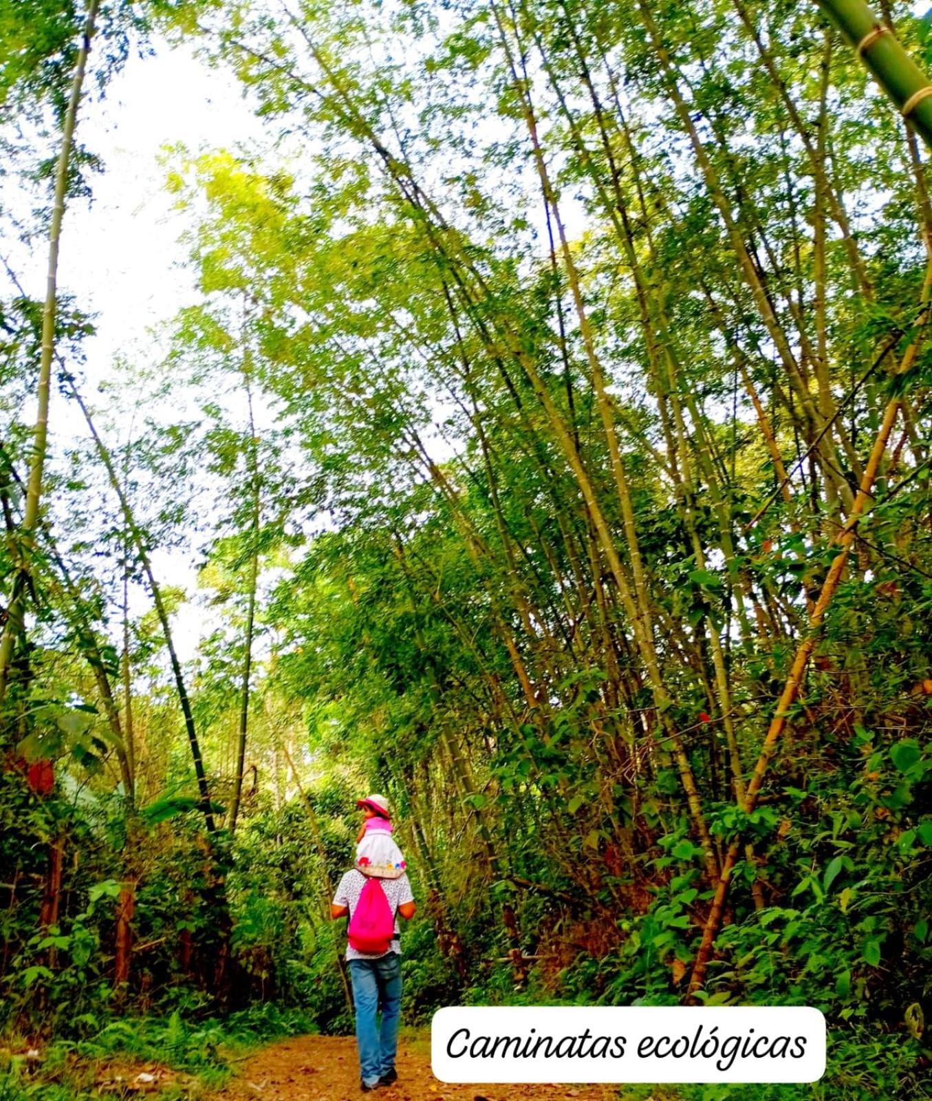 Mirador La Gloria