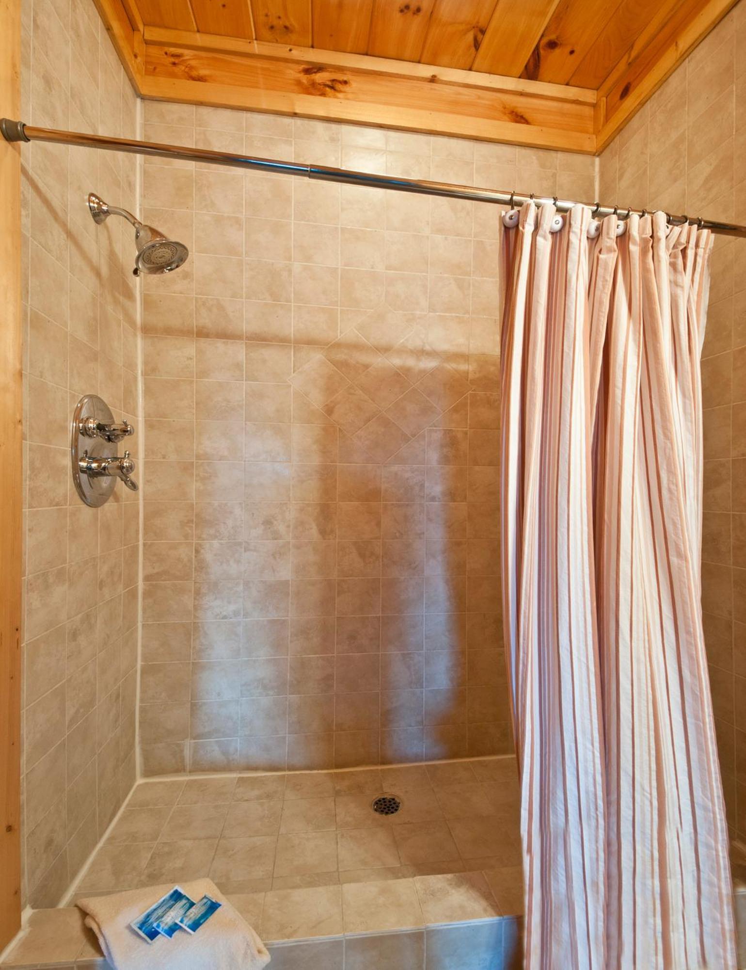 Magical Moose, 7bdrm 7bath, Specials, Free Tickets, Elevator, Hot Tub view 5