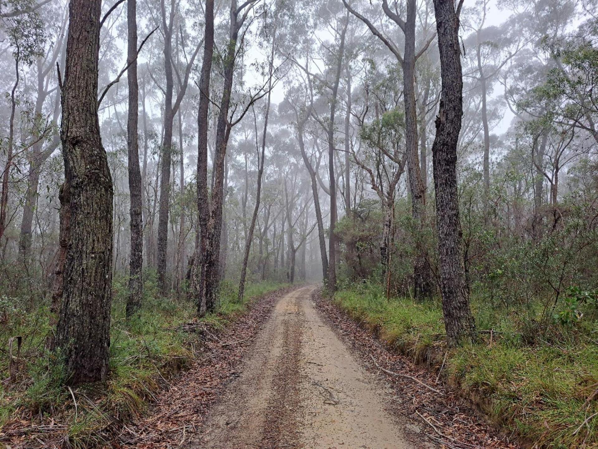 Red Rocks Mountain Retreat, Browns Mountain, Kangaroo Valley