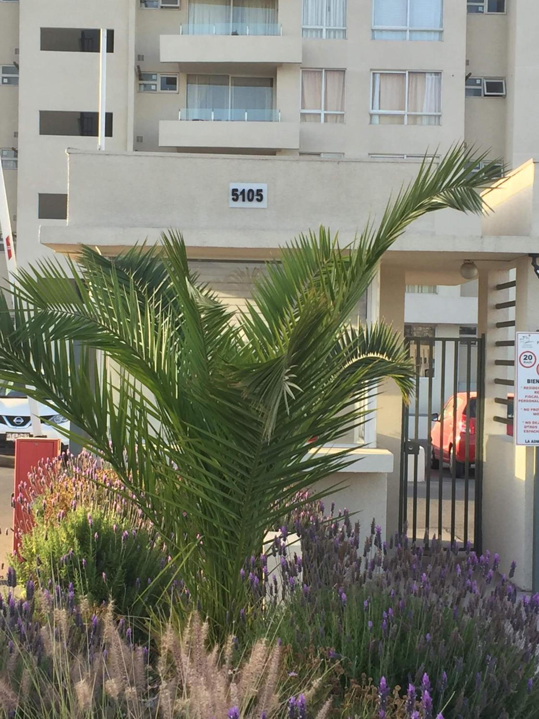 Apartment Recién Remodelado La Serena Pacifico