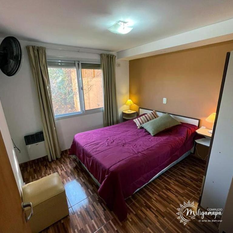complejo miligamapa con piscina climatizada