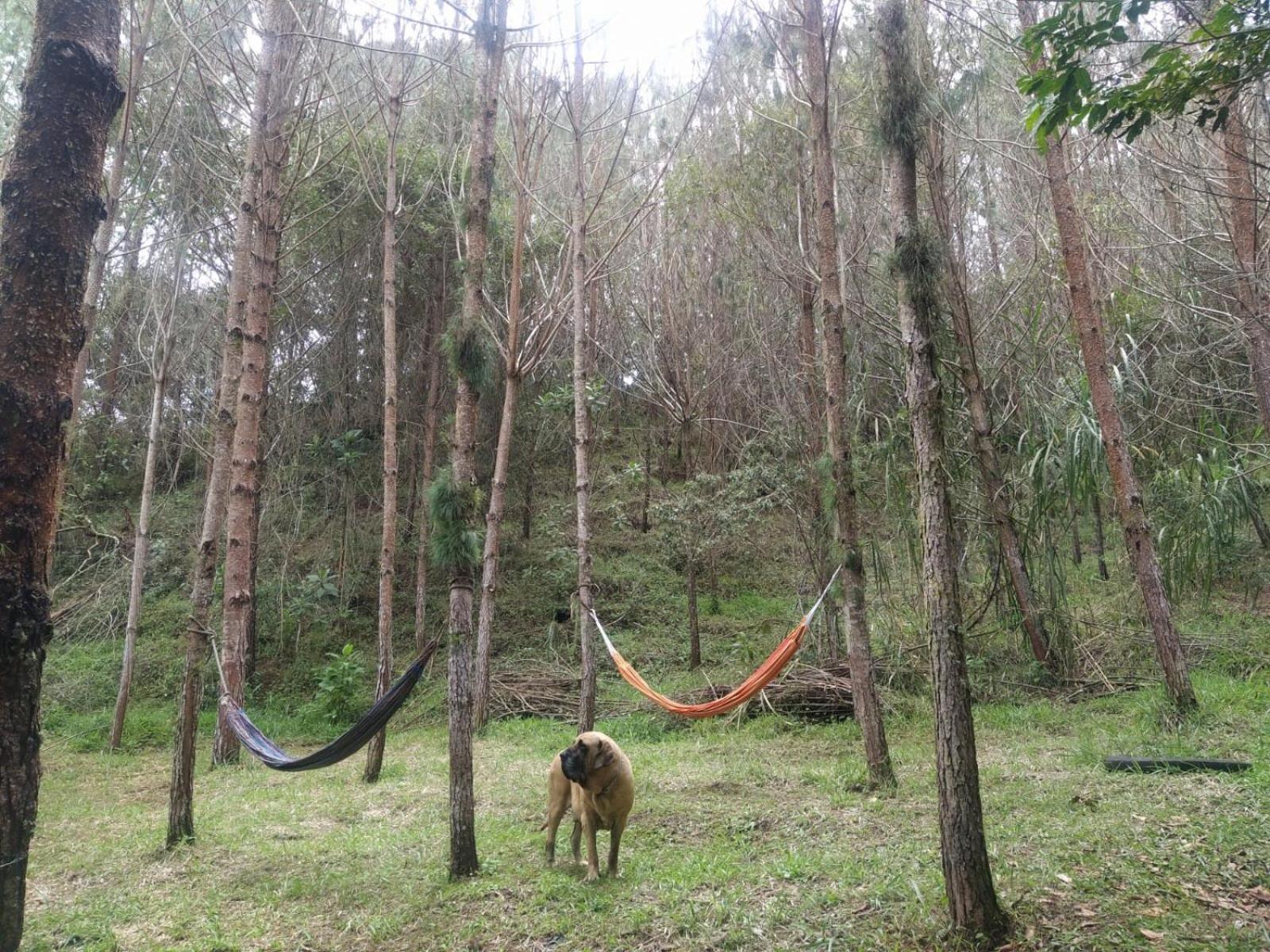 Cabaña Luna Verde