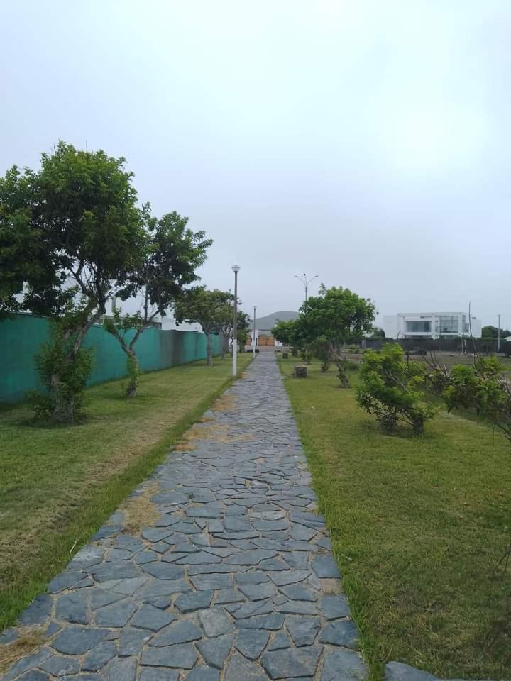 Photo 21