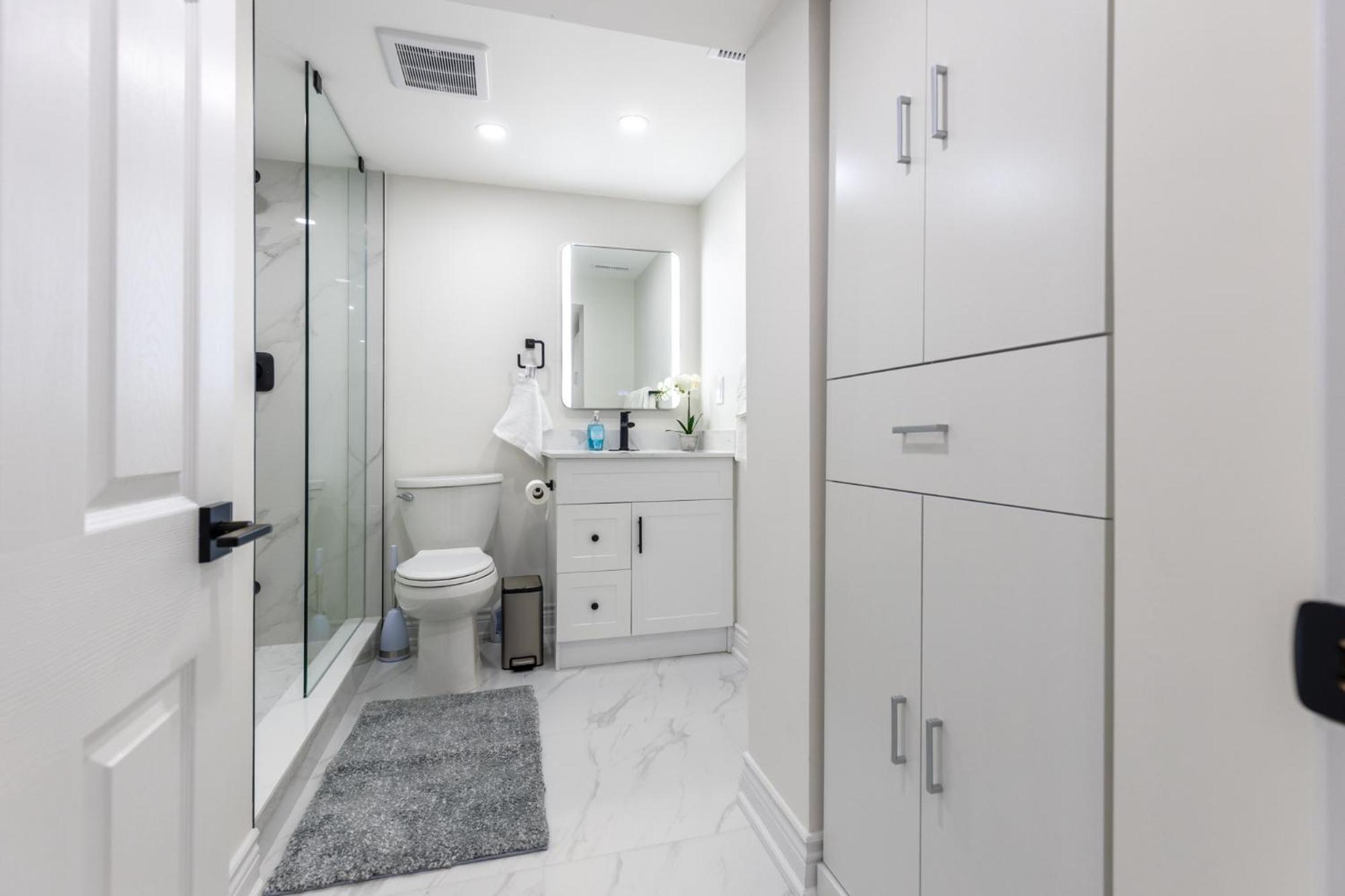 Newly Renoed 2 bedrooms with Bathroom and laundy Lower level.
