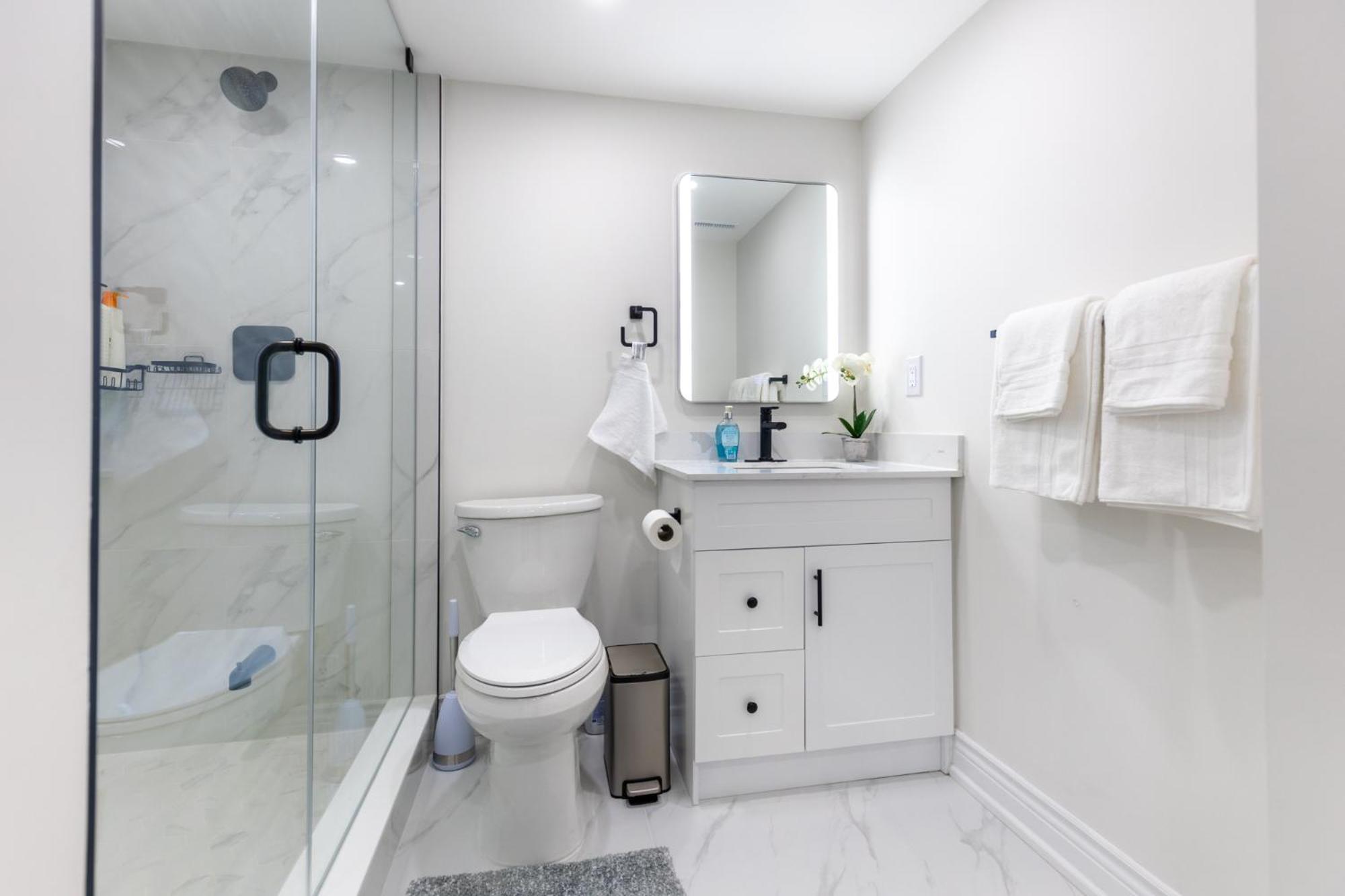 Newly Renoed 2 bedrooms with Bathroom and laundy Lower level.