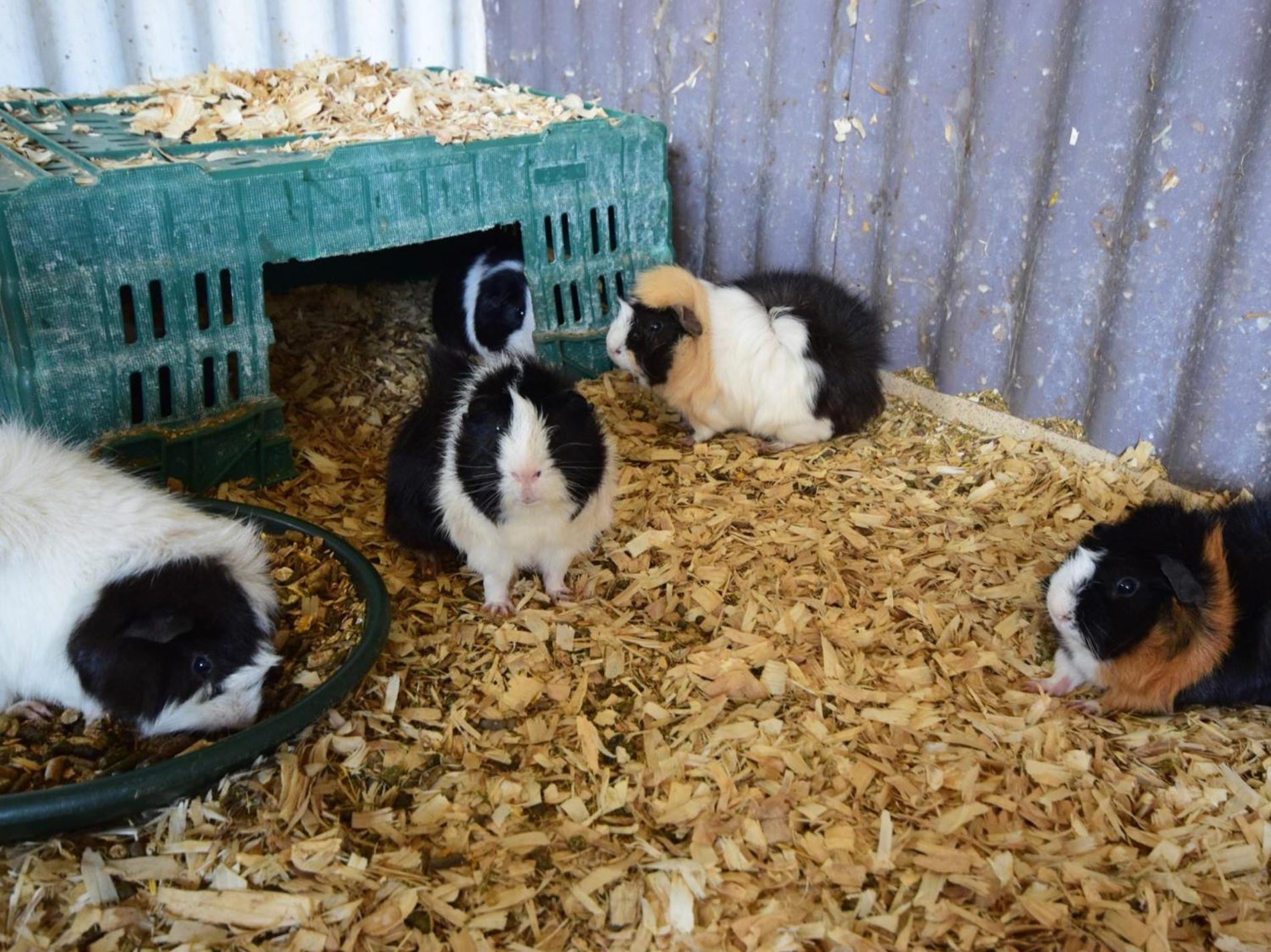 Photo 21