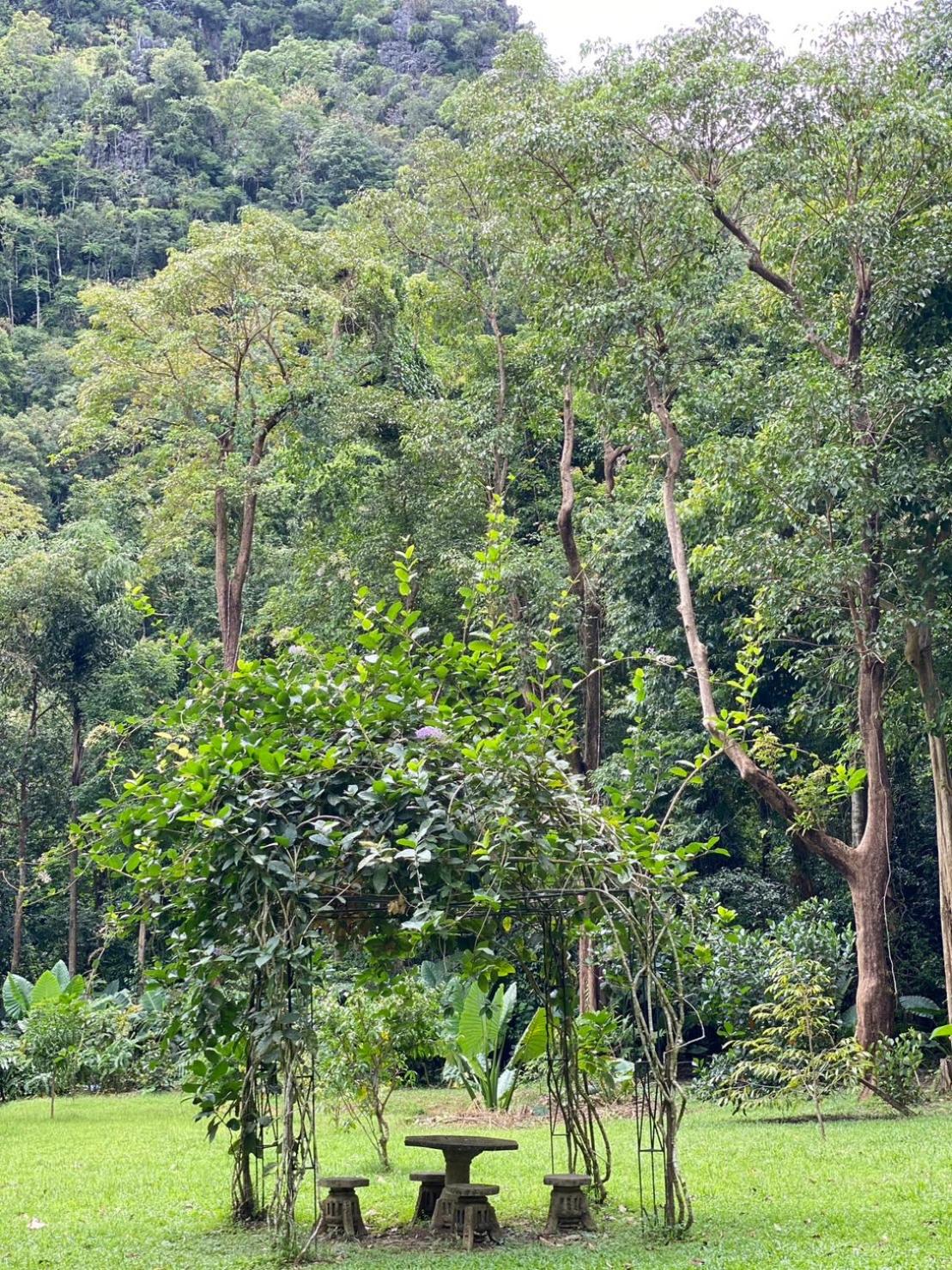 Khao Sok Nature Resort