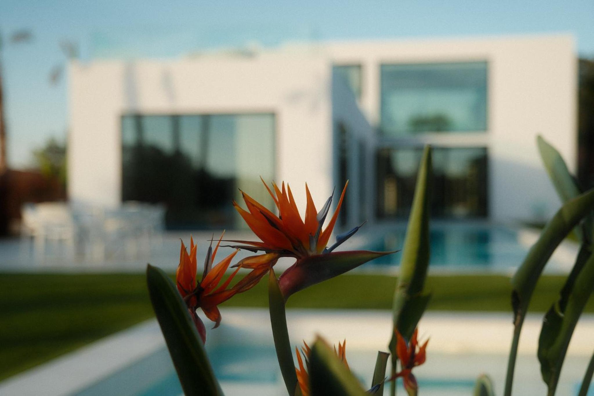 Contemporary villa near Sitges Hills