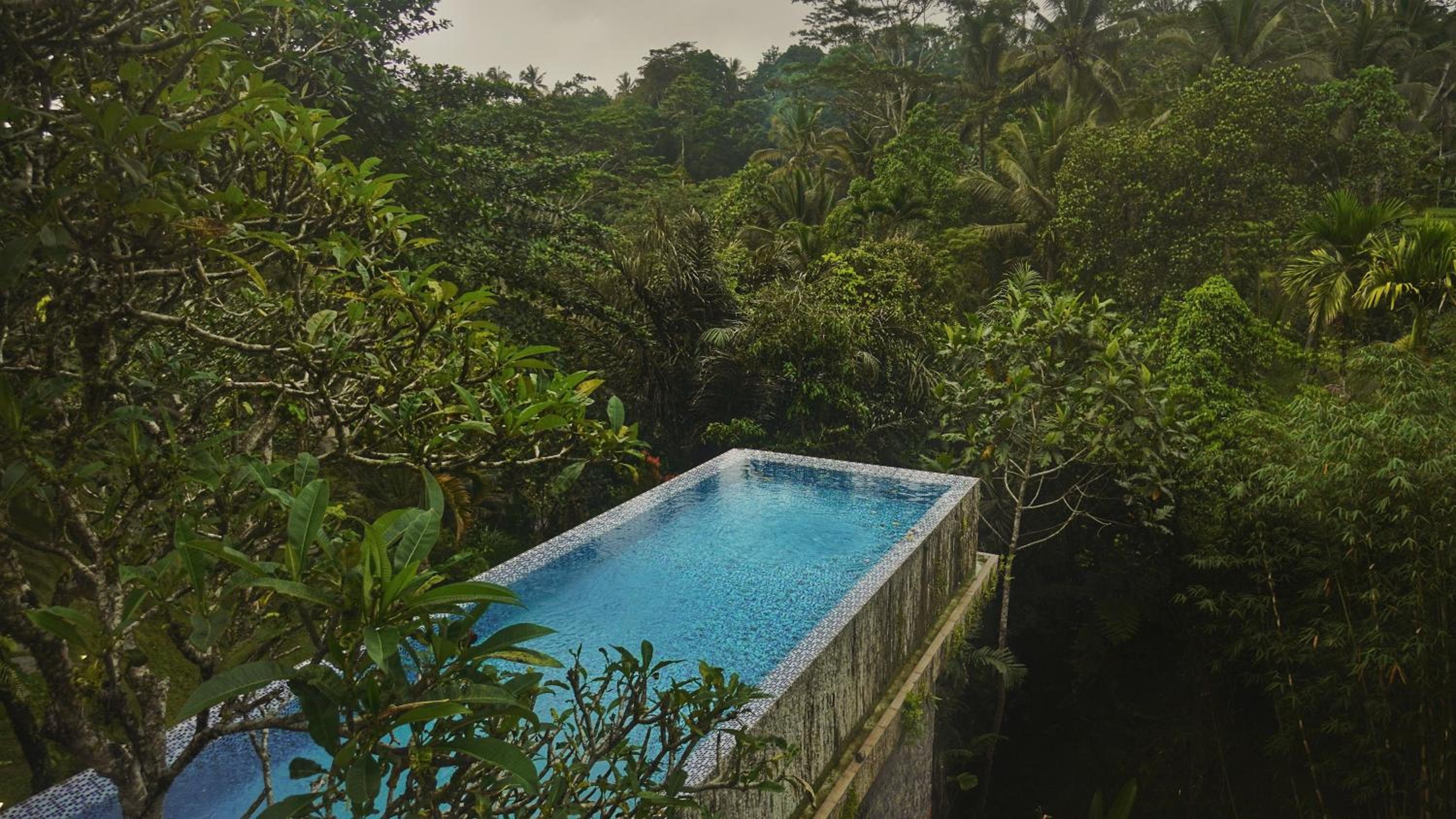 Sandhya Villa Ubud view 3