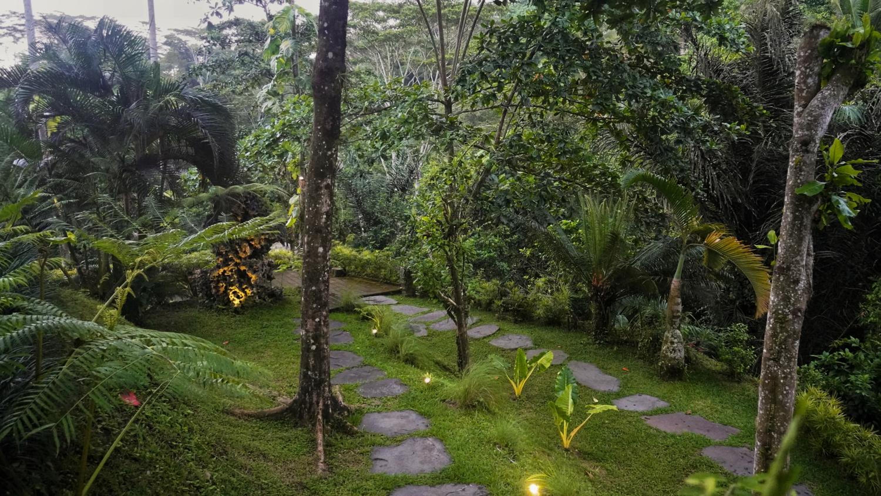 Sandhya Villa Ubud view 2