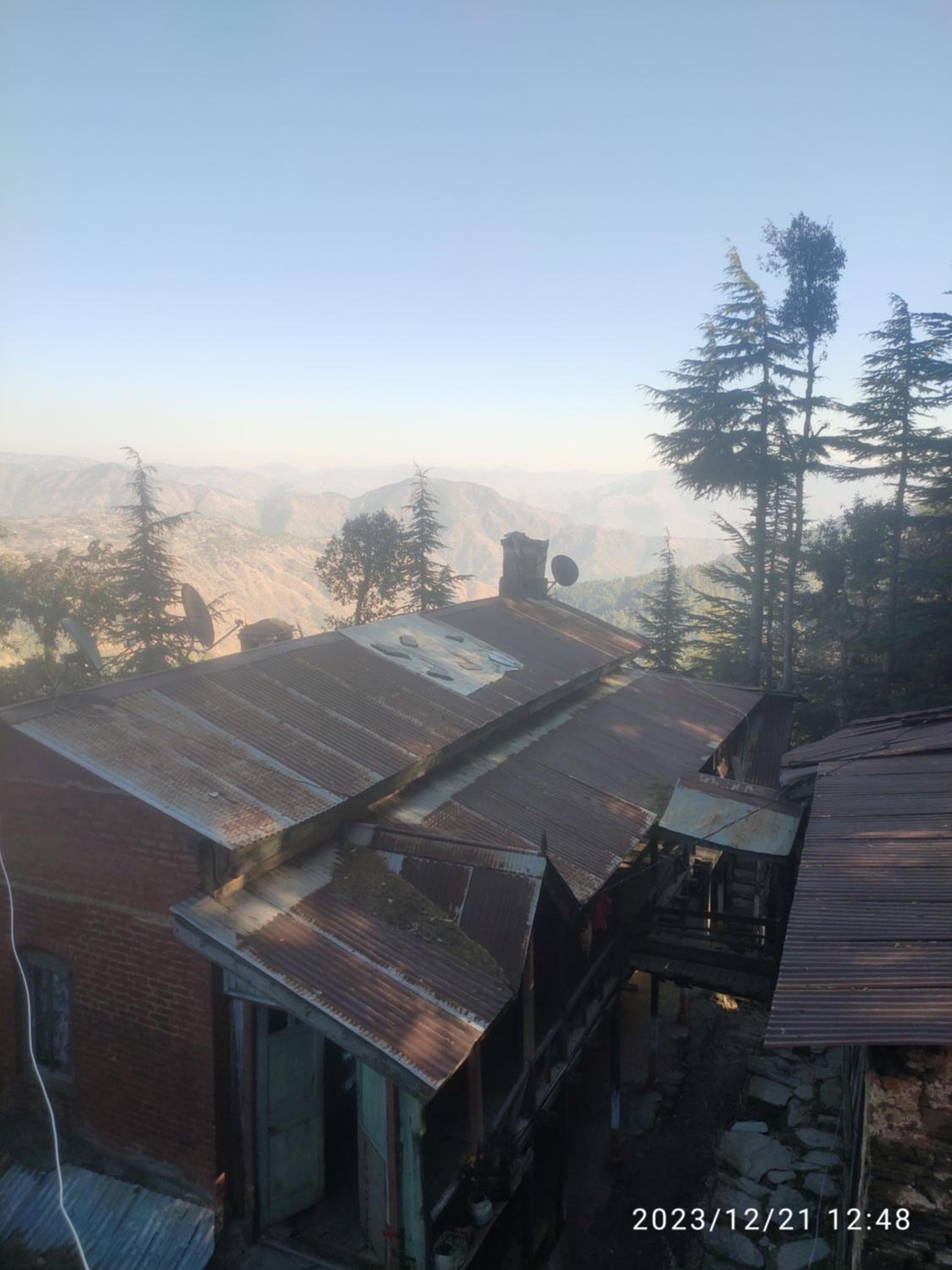 Tree Valley Homestay Chail