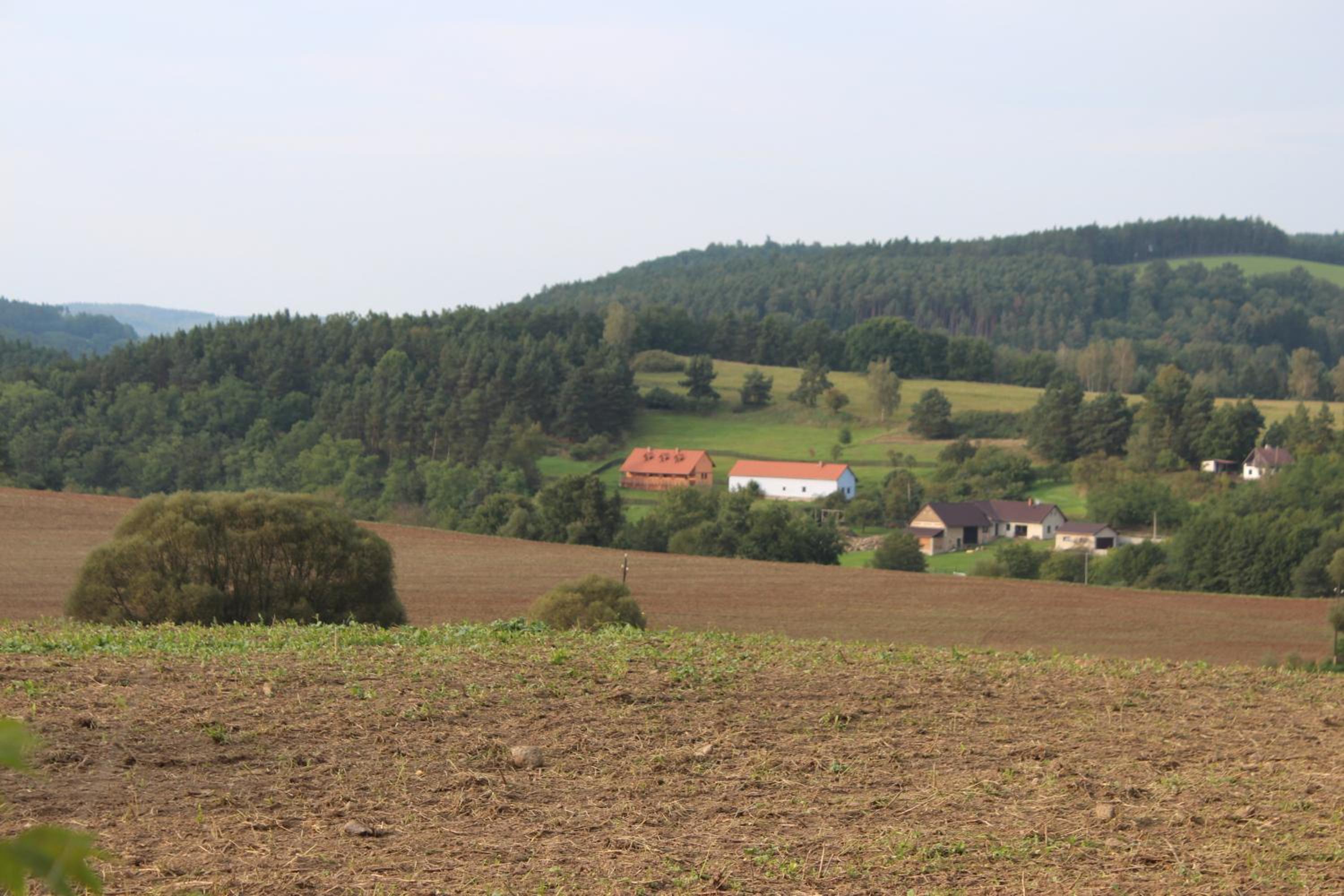 Country house - Slapy/Pazderny