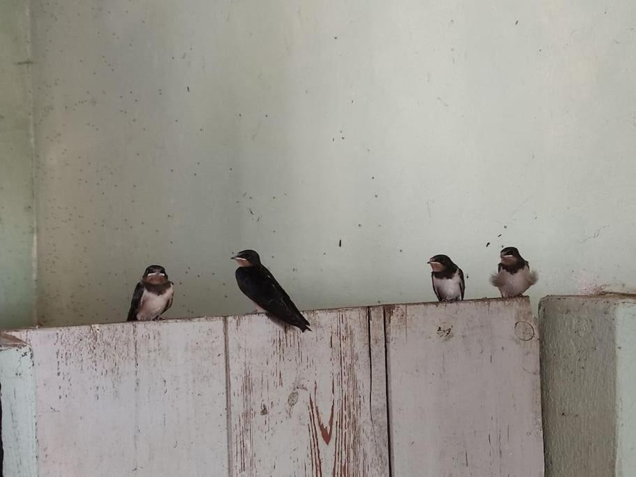 Urlaub auf dem Bauernhof