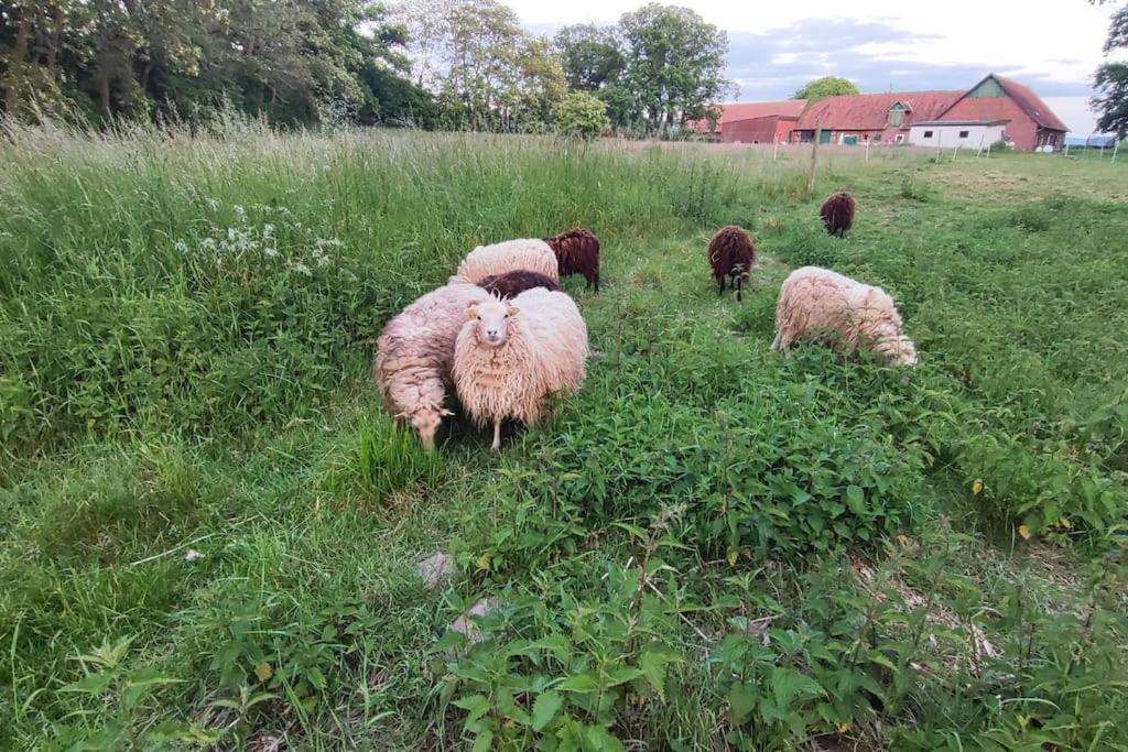 Urlaub auf dem Bauernhof