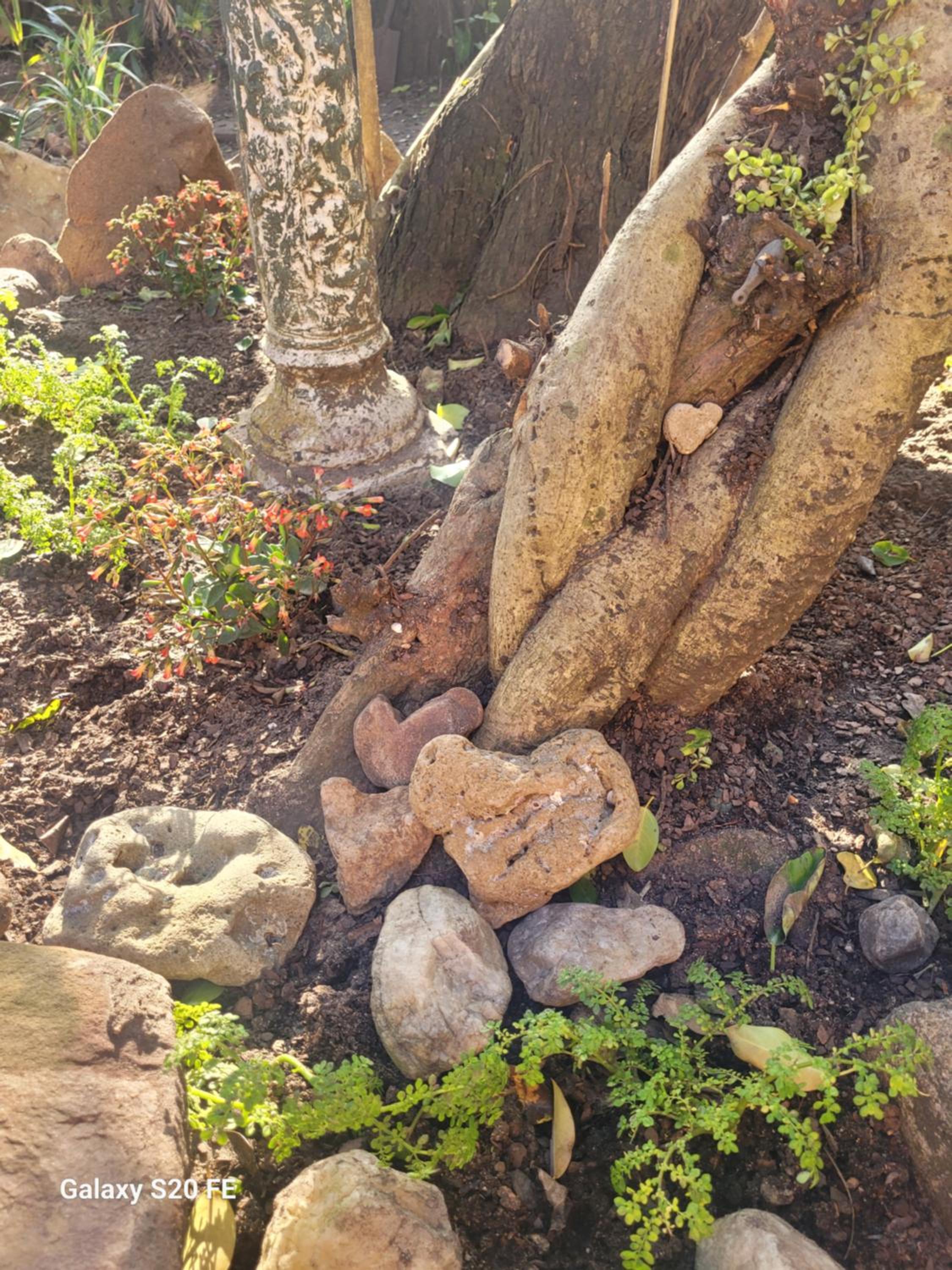 Photo 22