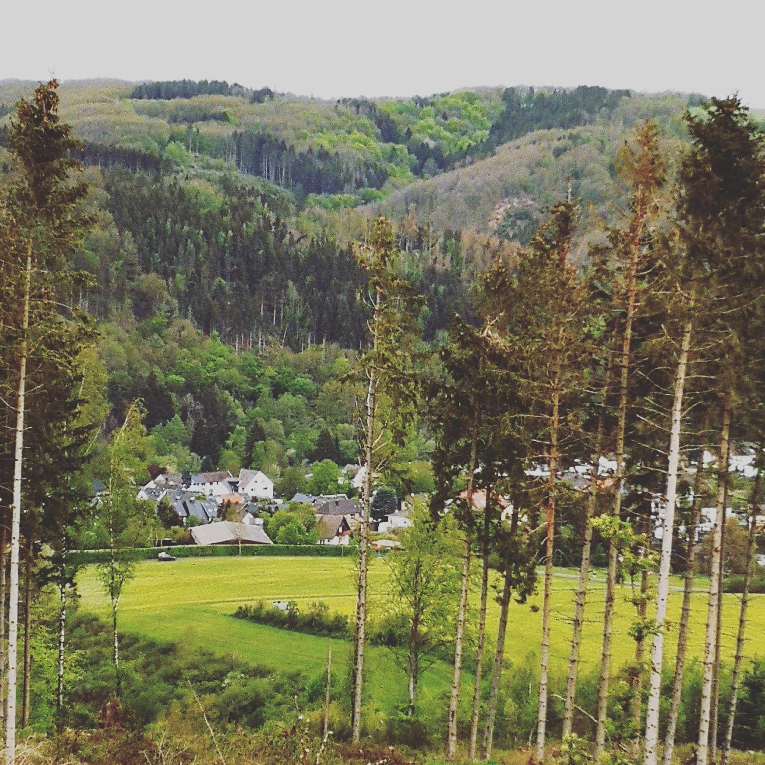 Ferienwohnung Eifelblick