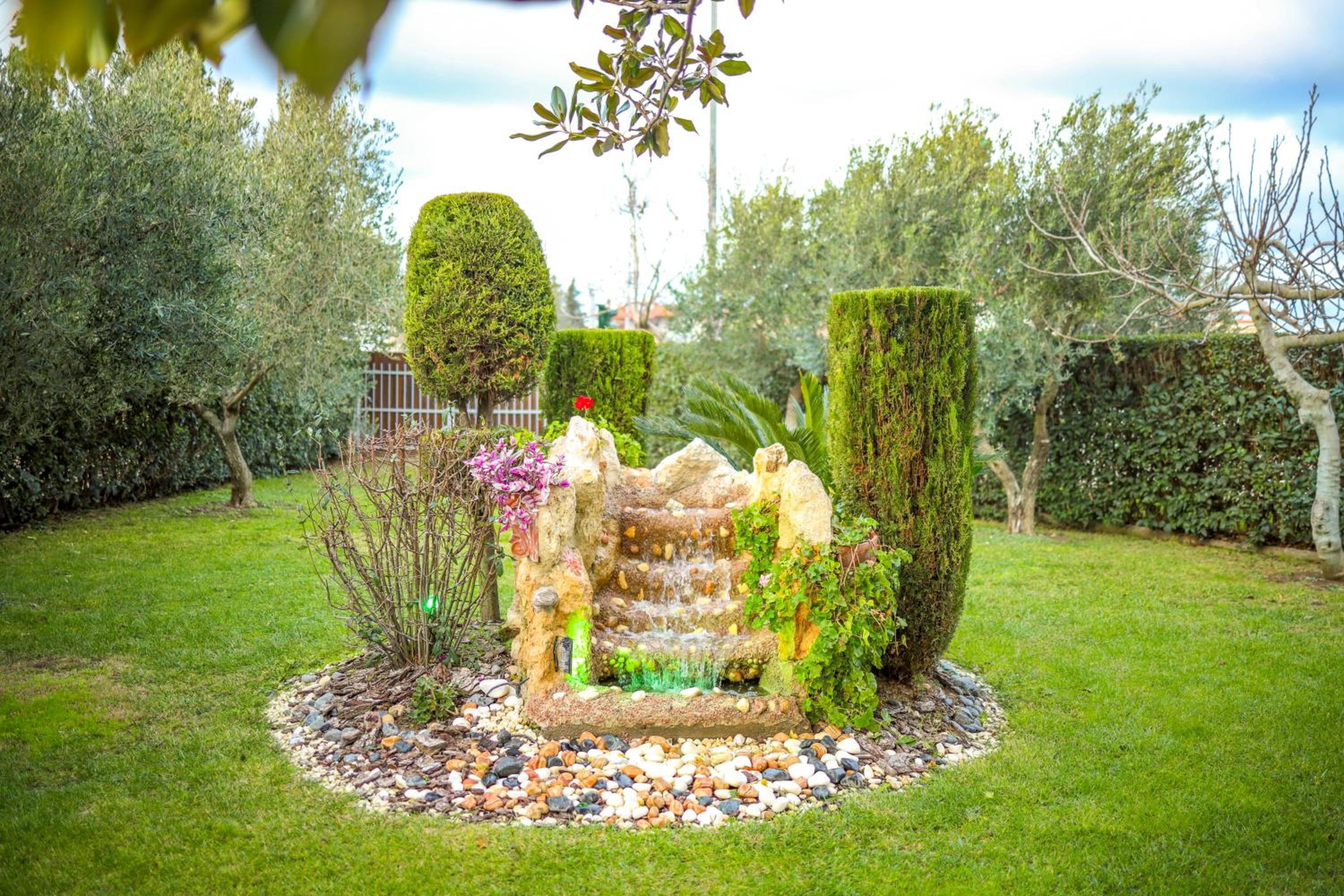 Photo 24