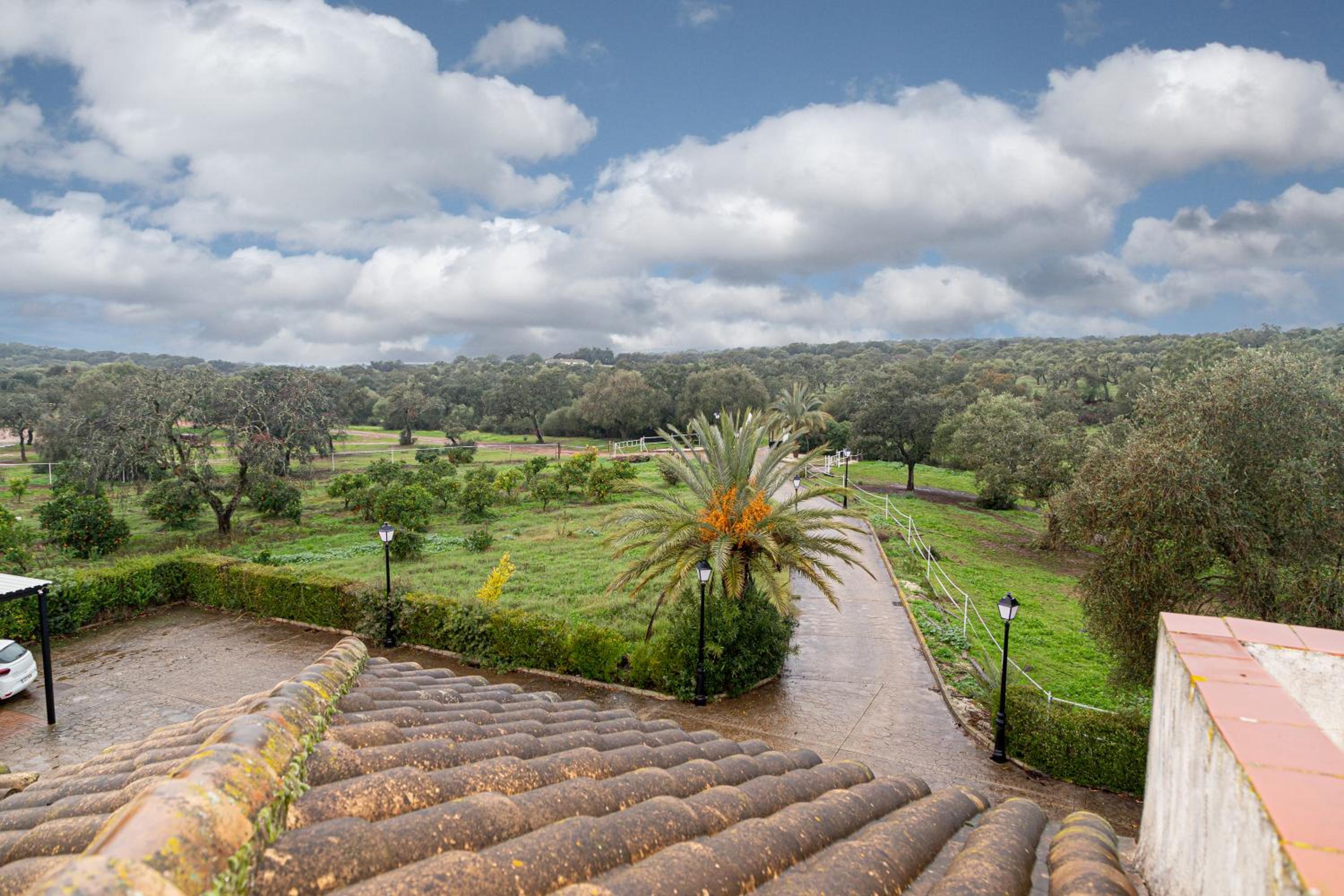 Finca Los Majadales