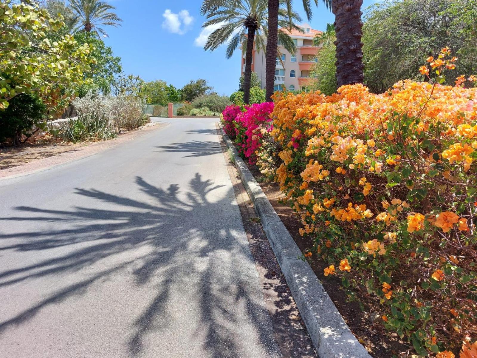 Piscadera Bay Resort #16