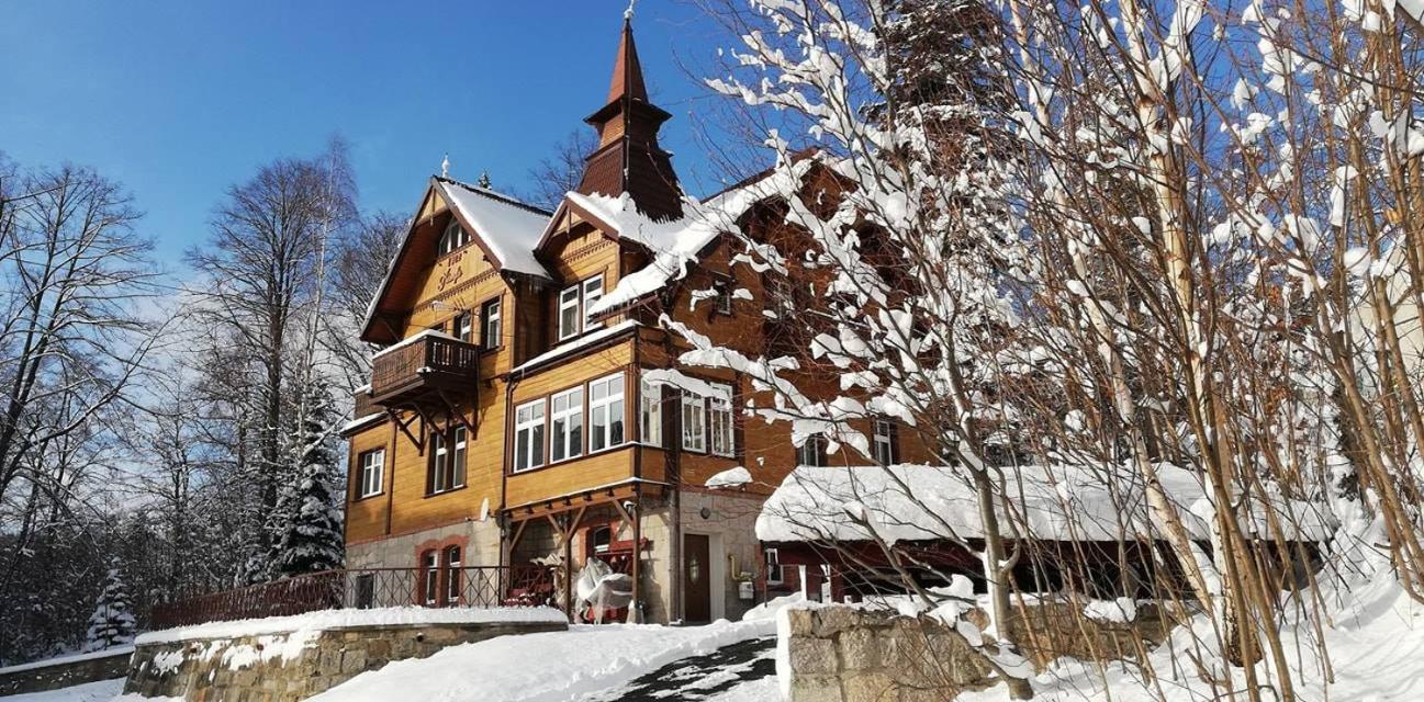 Willa Nimfa - apartamenty i pokoje w centrum view 2
