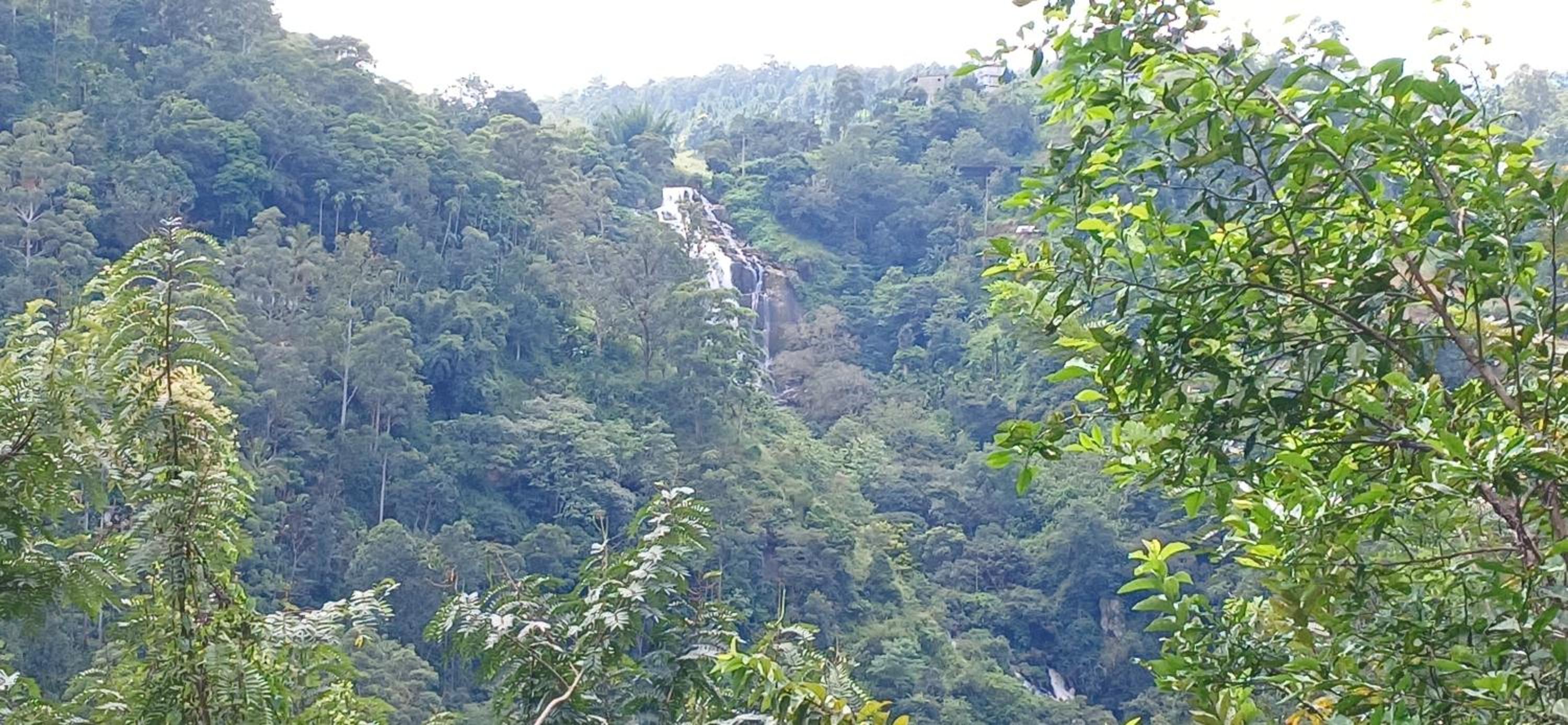 Photo 49