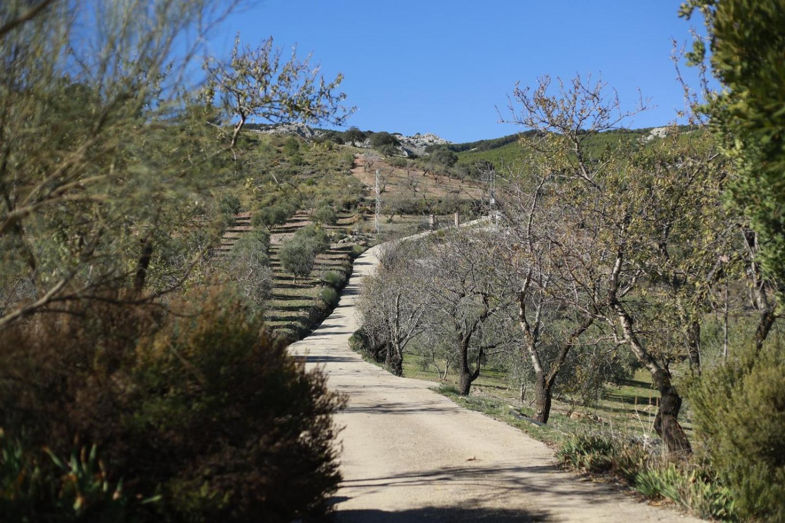 Cortijo el Lebrillo, Casa las Nieves. view 3