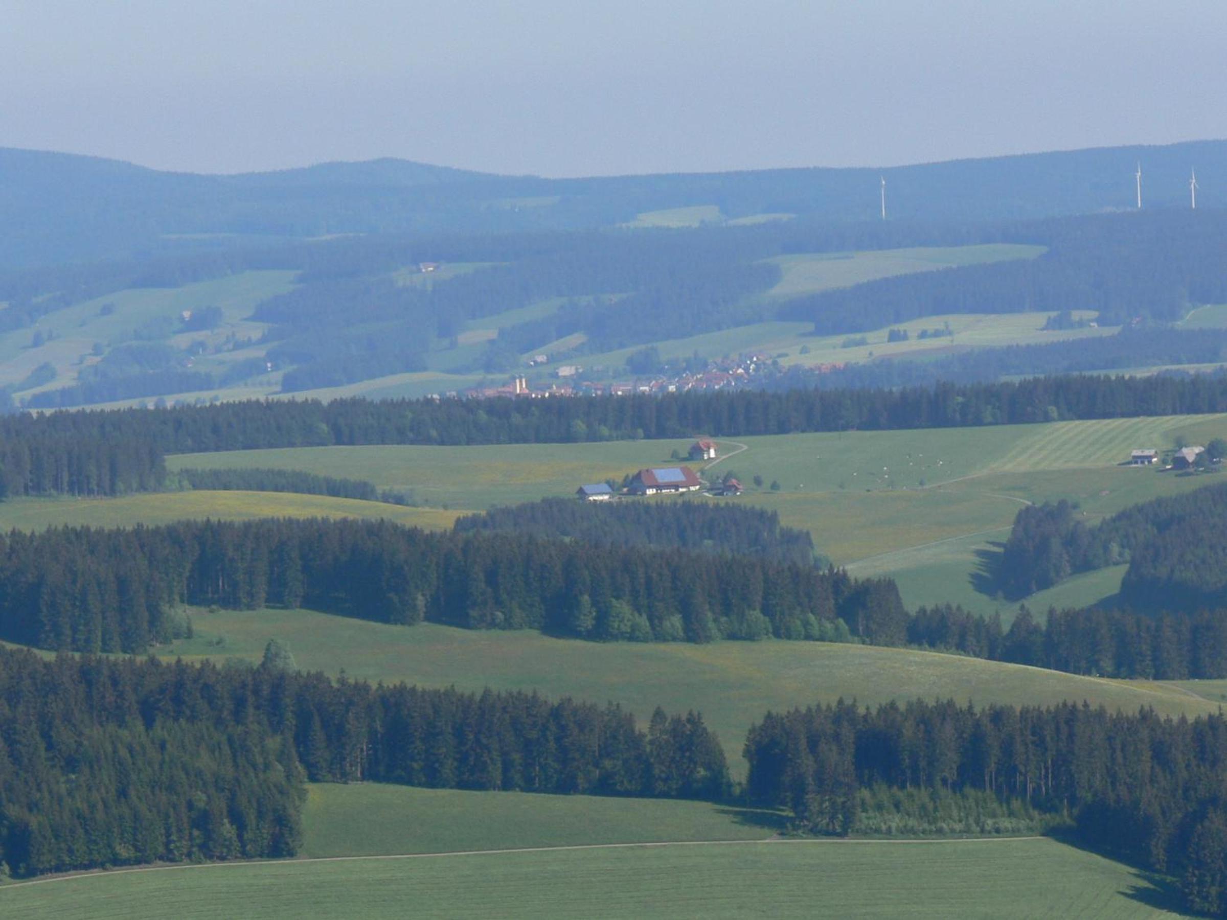 Holzhof