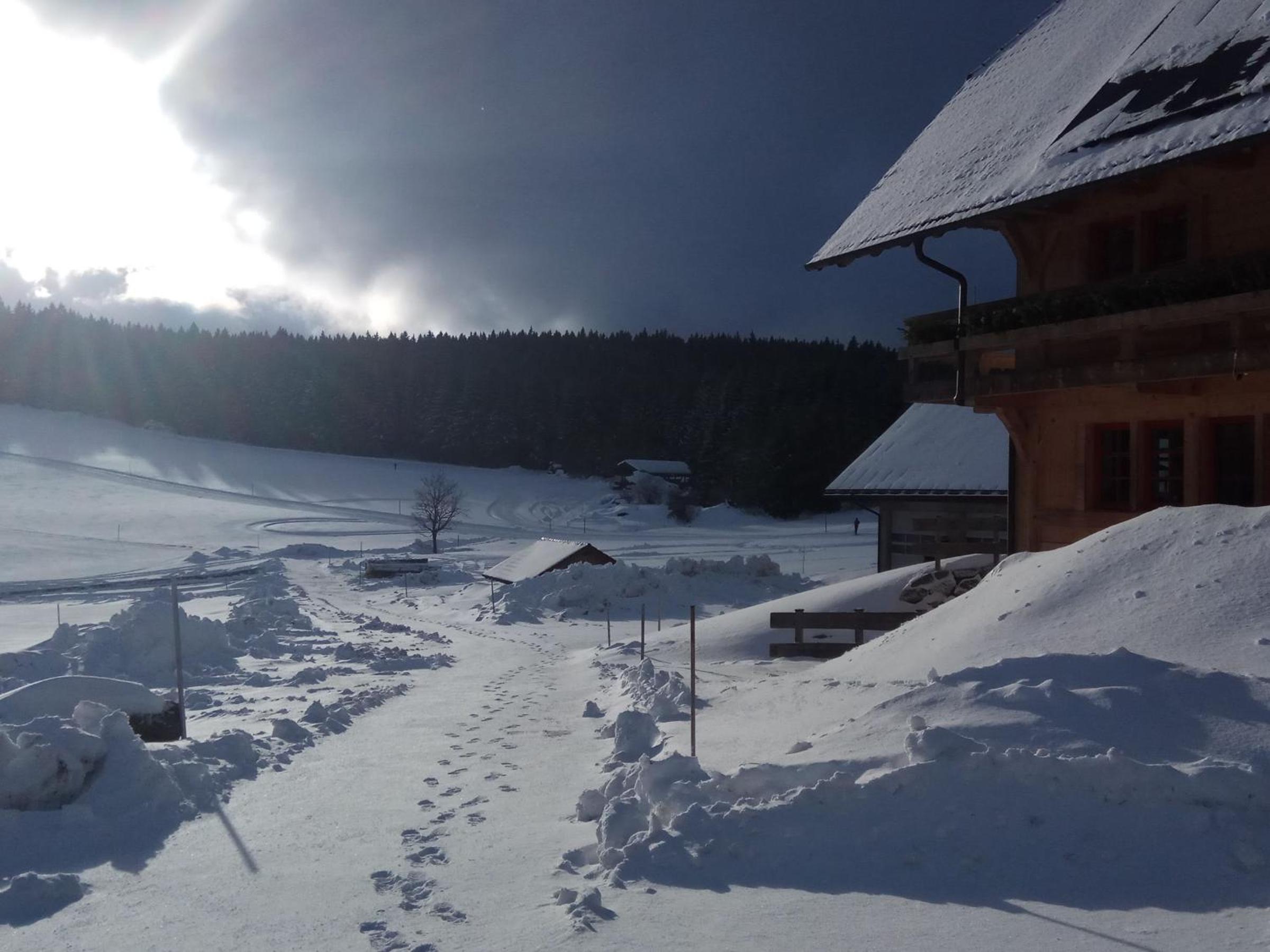 Holzhof