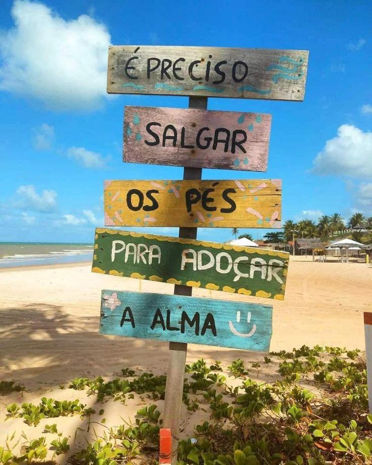 Recanto dos pássaros