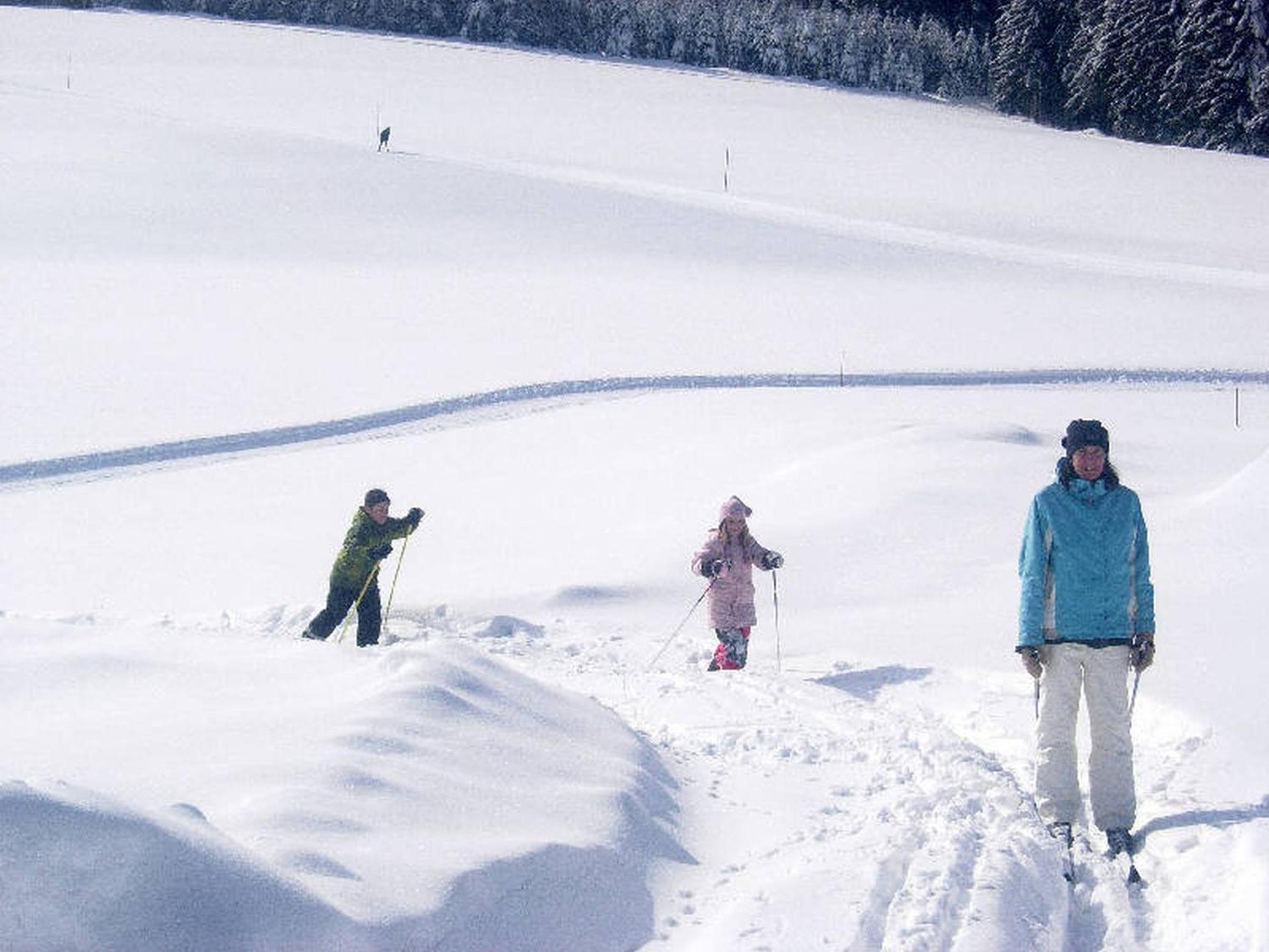 Holzhof